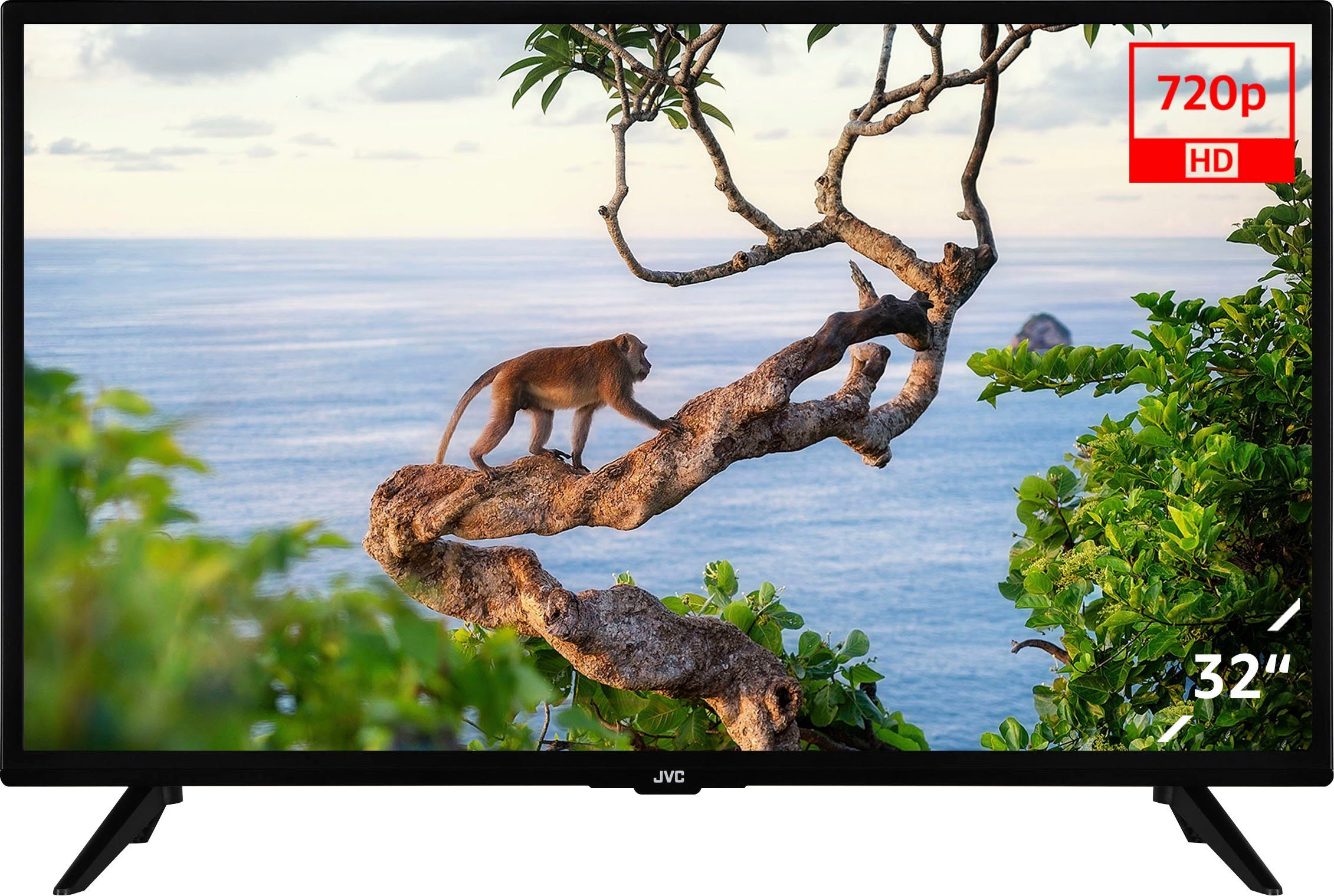 JVC LT-32VH2155 LCD-LED Fernseher (80 cm/32 Zoll, HD-ready, Triple-Tuner,  USB-Mediaplayer, CL)