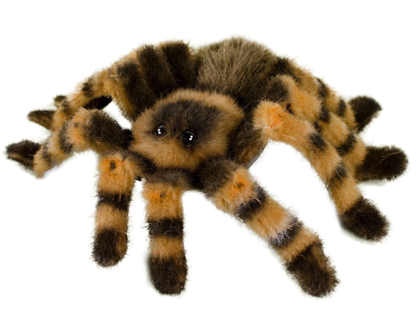 Teddys Rothenburg Kuscheltier Kösen Rotknievogelspinne 22 cm