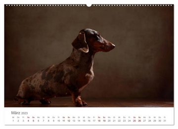 CALVENDO Wandkalender Treue Gefährten - Hundeportraits (Premium, hochwertiger DIN A2 Wandkalender 2023, Kunstdruck in Hochglanz)