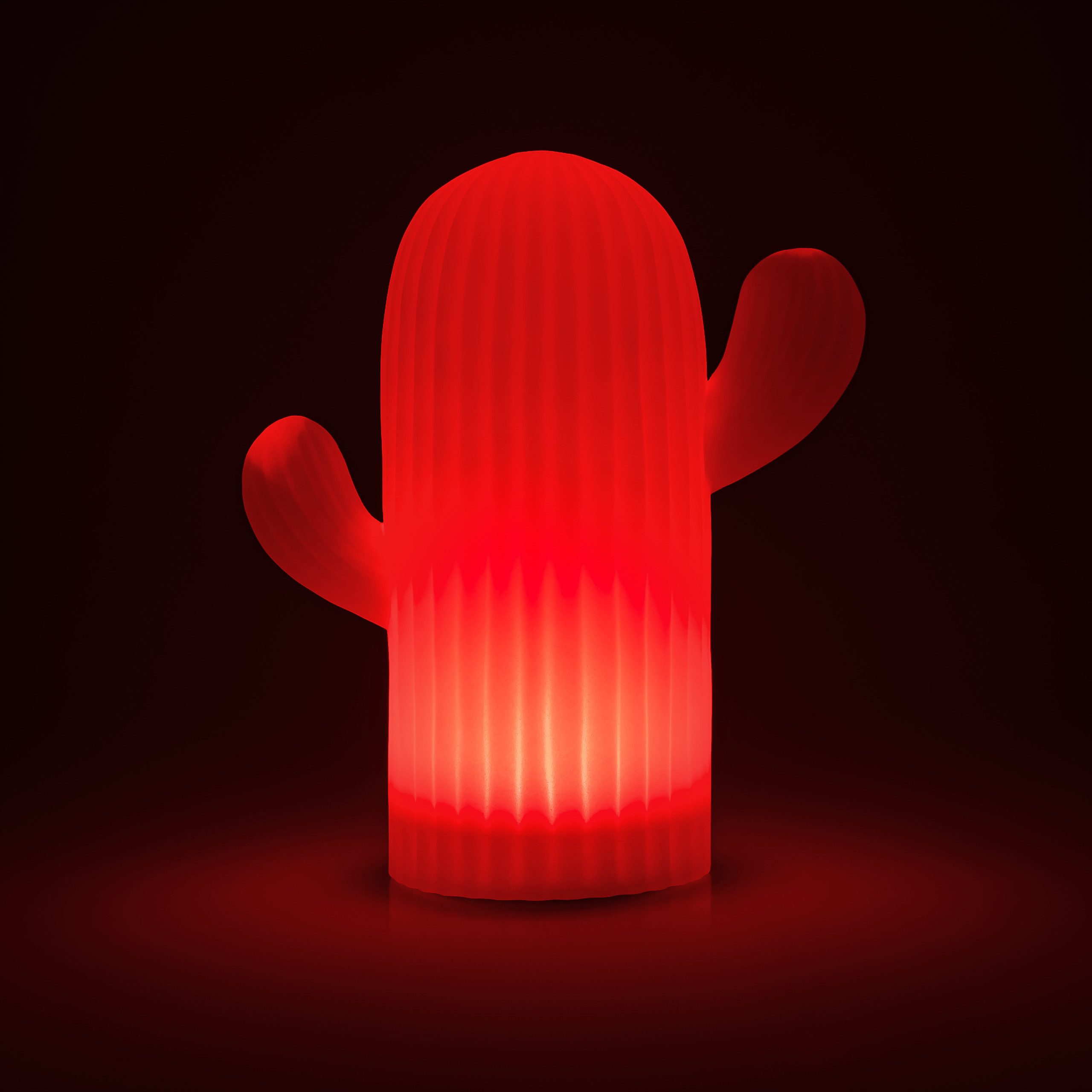 my home LED Solarleuchte Elowyn, LED-Solar Kaktus, RGB, Tageslichtsensor, L günstig online kaufen