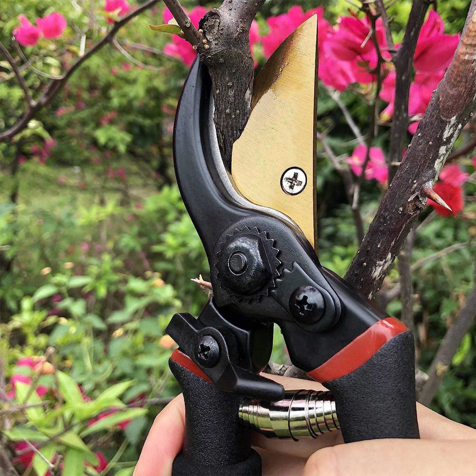 OKWISH Gartenschere Baumschere Rosenschere Handschere Floristenschere günstig online kaufen