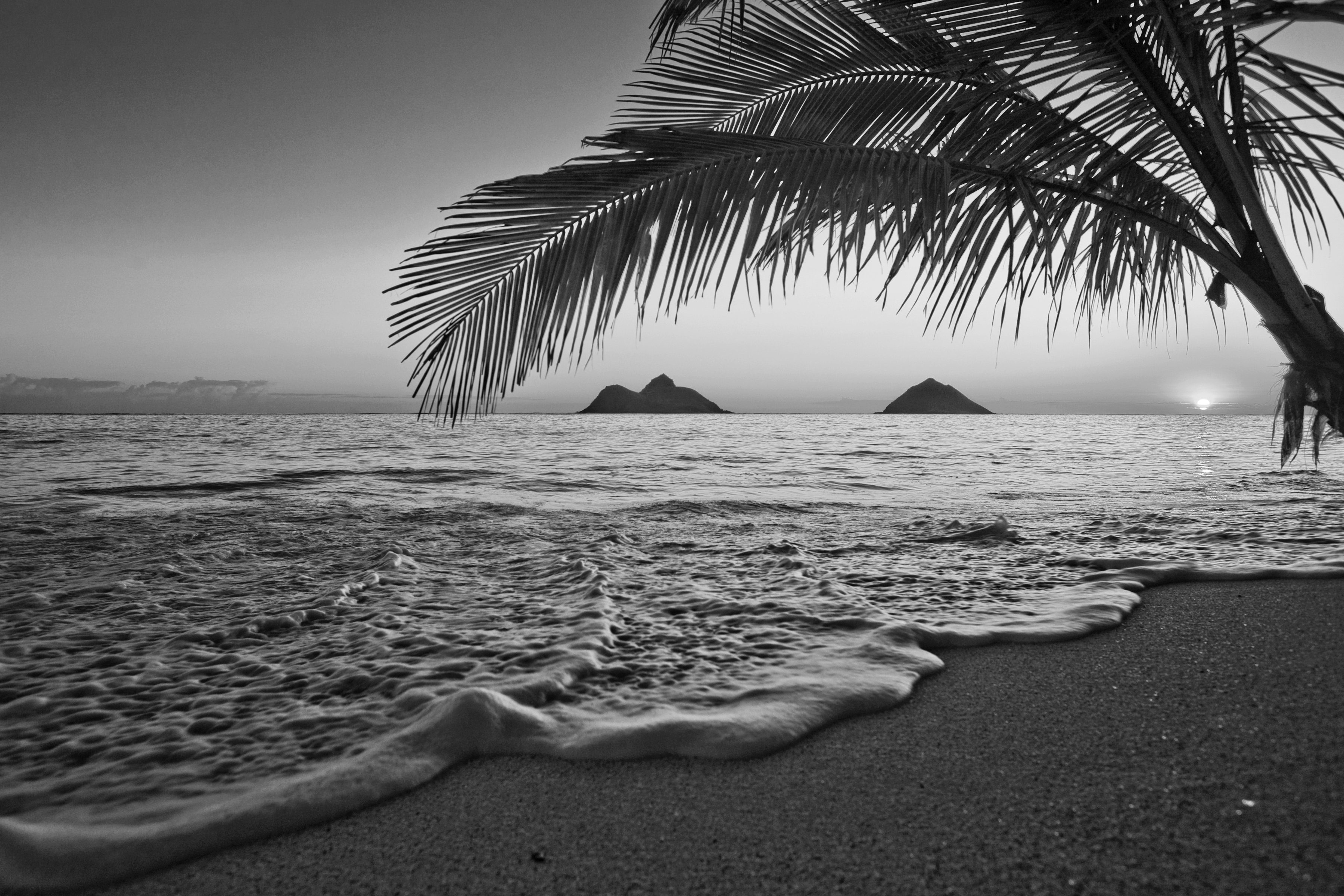 Fototapete Strand Schwarz Weiß & Papermoon