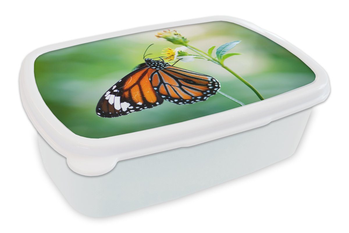 MuchoWow Lunchbox Schmetterling - Blumen - Insekten, Kunststoff, (2-tlg), Brotbox für Kinder und Erwachsene, Brotdose, für Jungs und Mädchen weiß