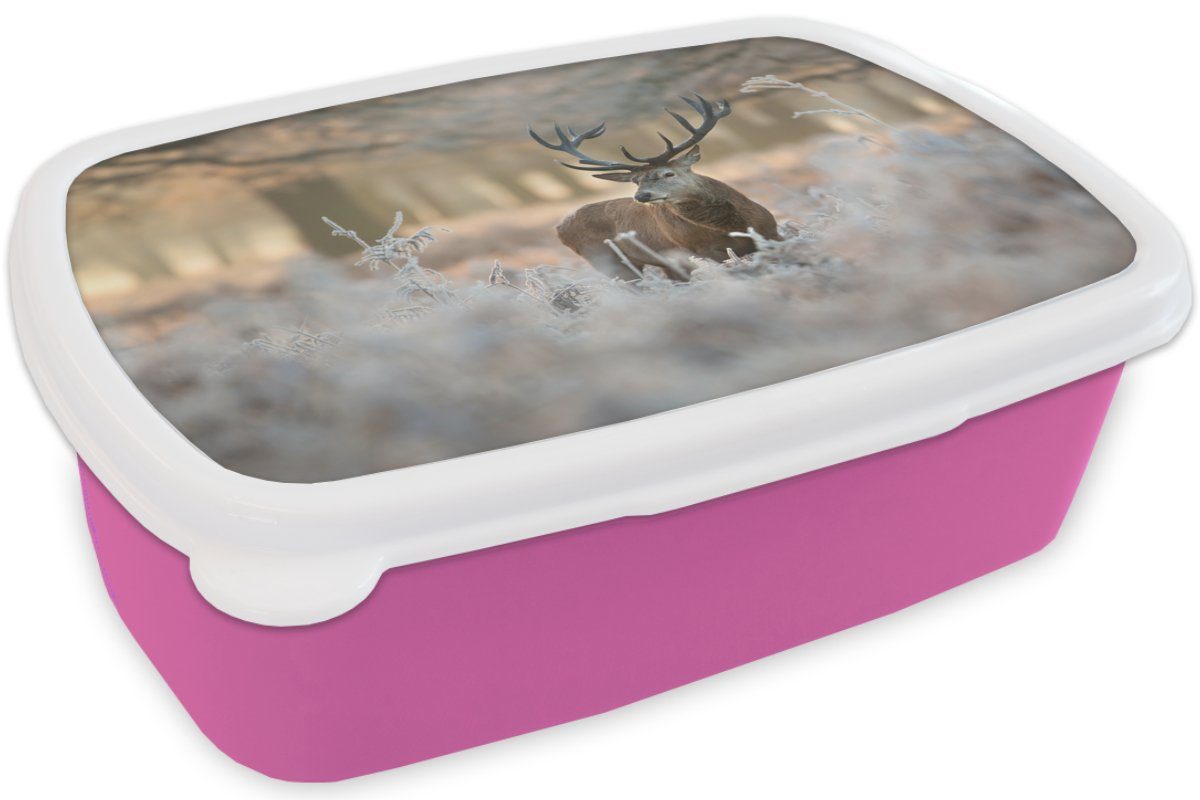 Mädchen, - Snackbox, Kunststoff Erwachsene, Kinder, (2-tlg), Hirsche - Winter, MuchoWow Tiere Kunststoff, rosa Brotdose für Lunchbox Brotbox