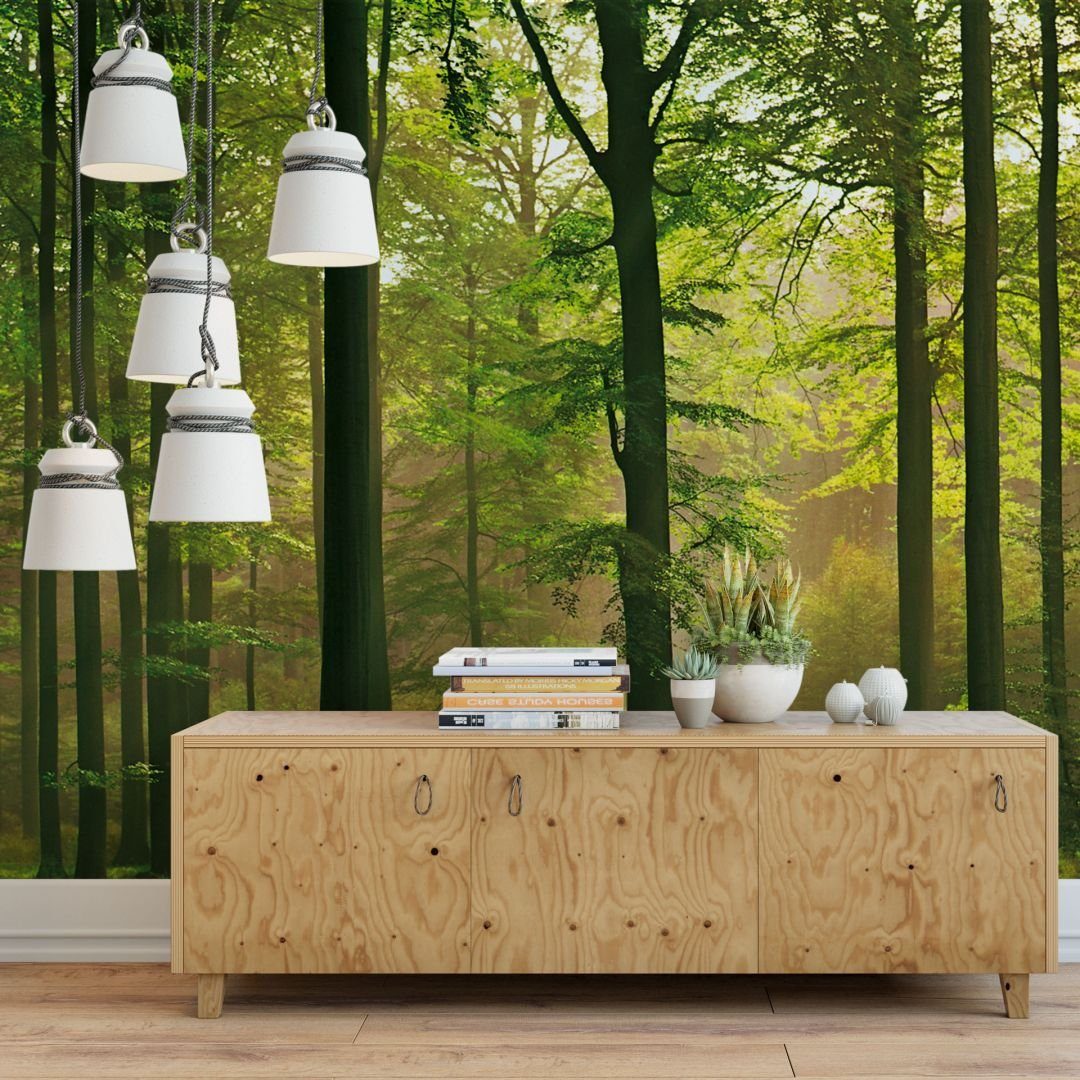 K&L Wall Art Fototapete Große Papiertapete Schwarzwald Bäume Fototapeten Herbstwald, moderne Wohnzimmertapete, Wohnzimmertapete inkl. Tapetenkleister und Montageanleitung