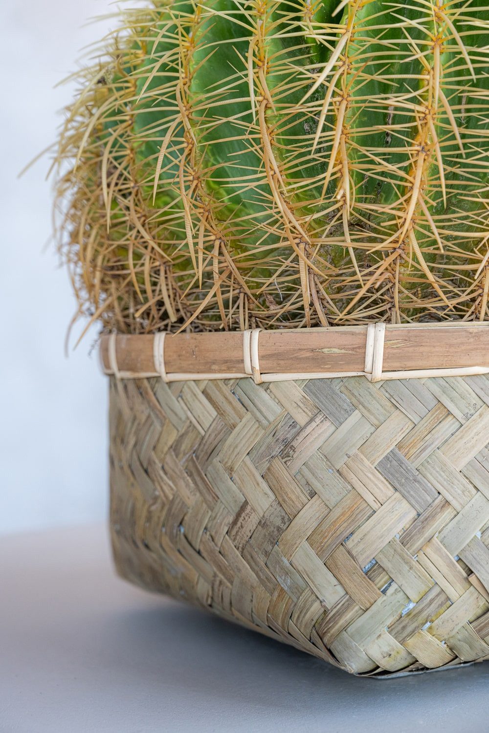 finestgreen Pflanzkübel Nala Low, Handgeflochten & verstärkt – natürliche Eleganz für den Innenbereich