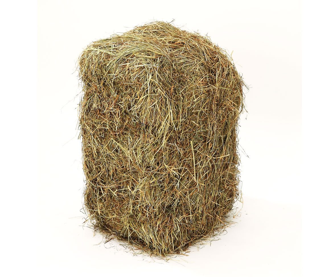 Dehner Einstreu Wiesenheuballen, schonend getrocknet, 10 kg, Heu als Nagereintreu geeignet