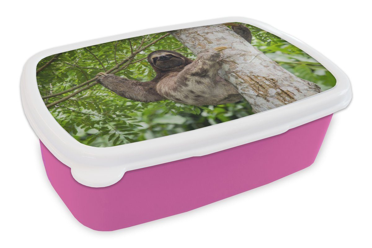 MuchoWow Lunchbox Ein Faultier klettert auf einen Baum in grüner Umgebung, Kunststoff, (2-tlg), Brotbox für Erwachsene, Brotdose Kinder, Snackbox, Mädchen, Kunststoff rosa