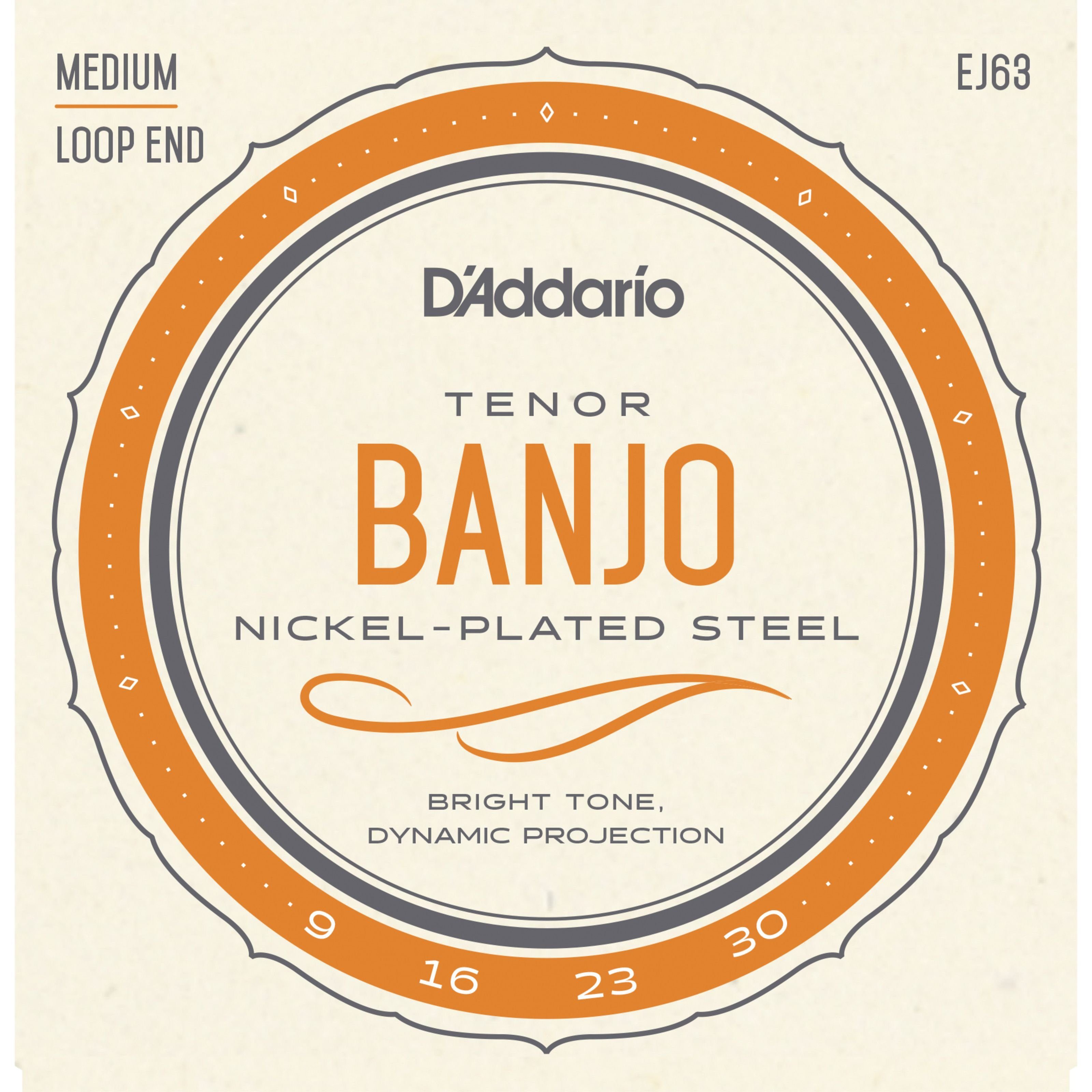 Banjo Strings 4 String Set Loop Ends Nickel Wound 10-32 Olympia