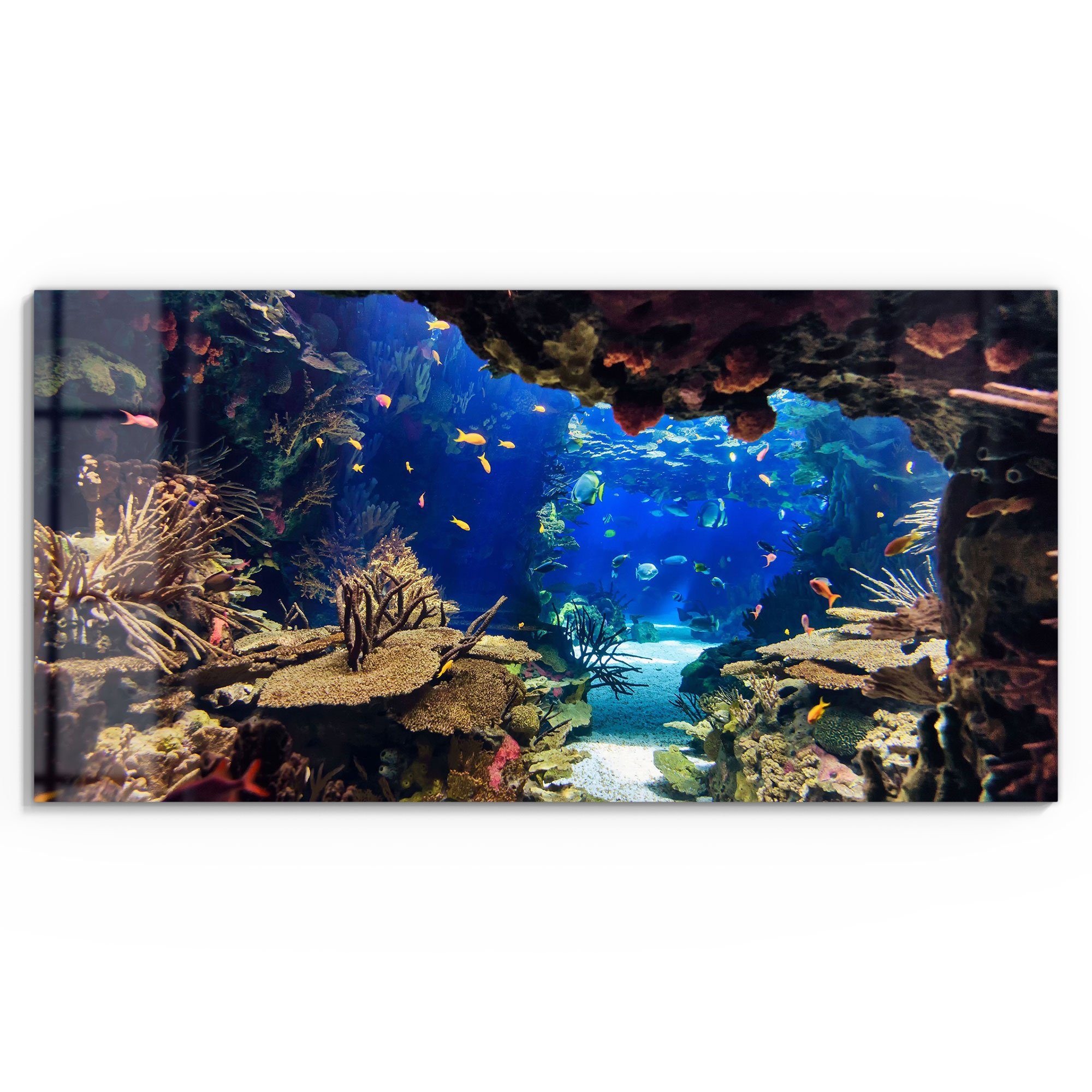 DEQORI Glasbild 'Exotisches Aquarium', 'Exotisches Aquarium', günstig online kaufen