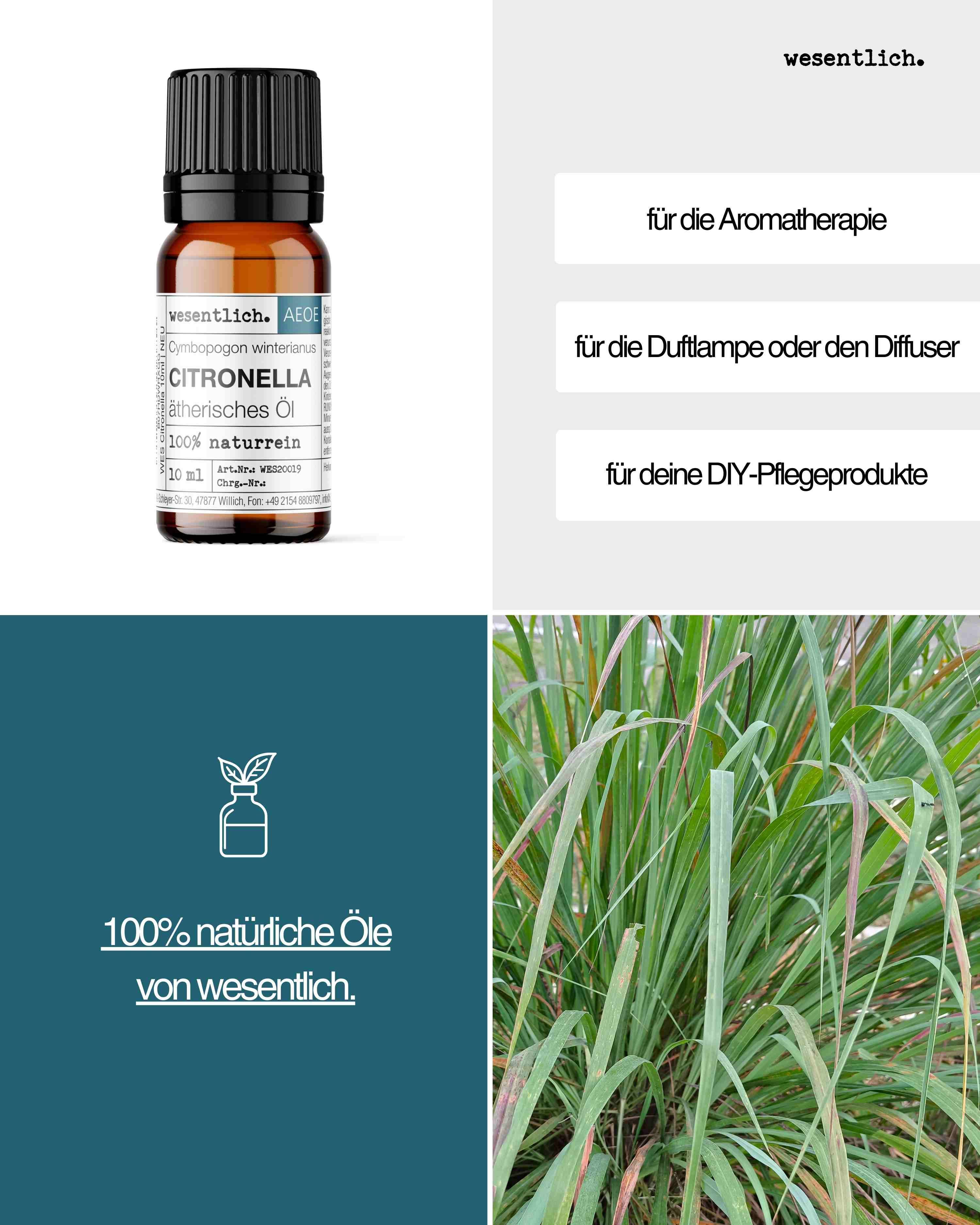 wesentlich. Duftöl Citronella 10ml - ätherisches Öl