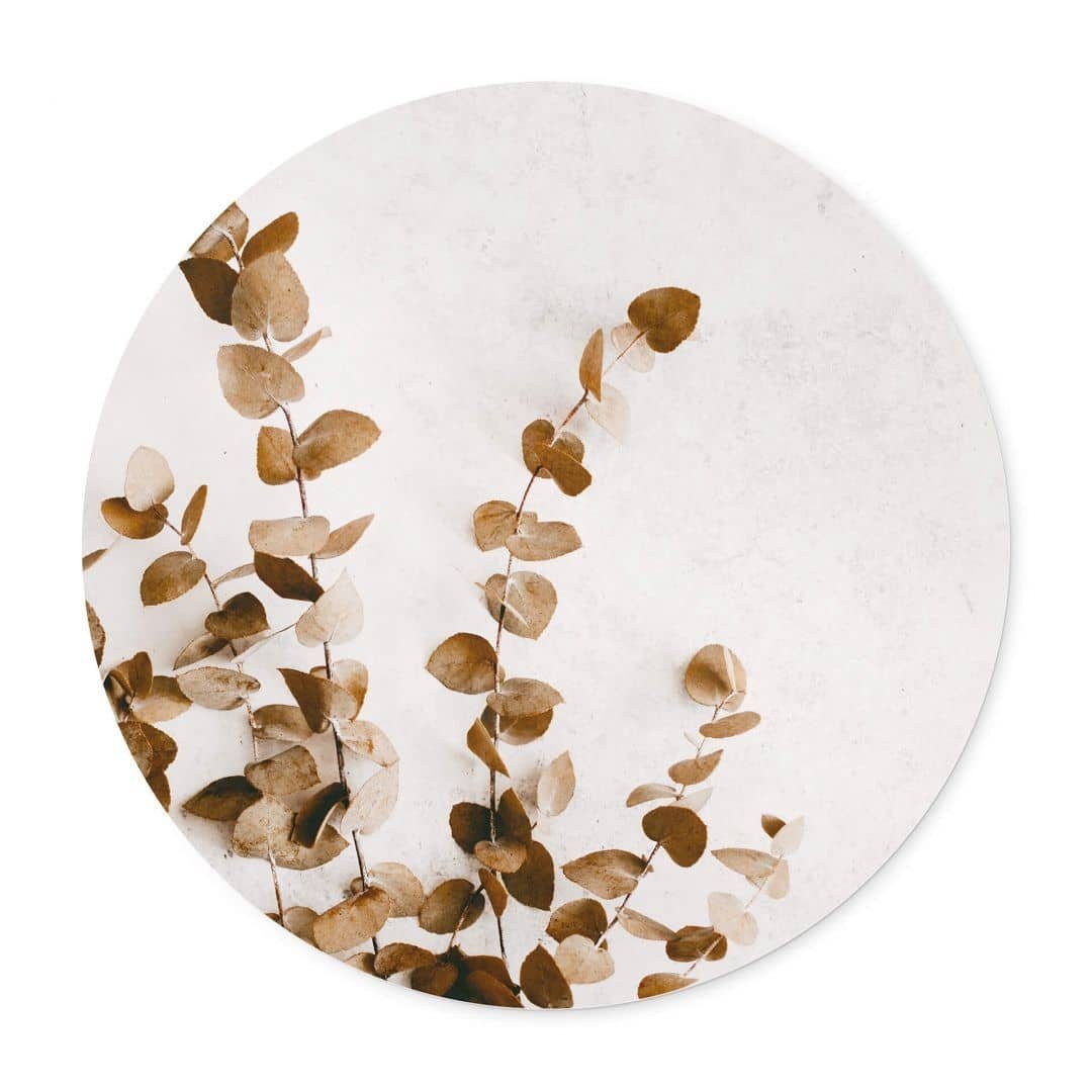 K&L Wall Art Poster Wandbild Annie - Getrocknete Blätter, rund, Fotografie Boho, Wohnzimmer Kunstdruck floral