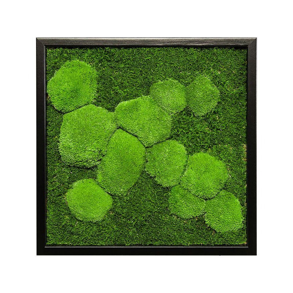 Moos-Design Bild Moosbild Fifty Fifty Design günstig online kaufen