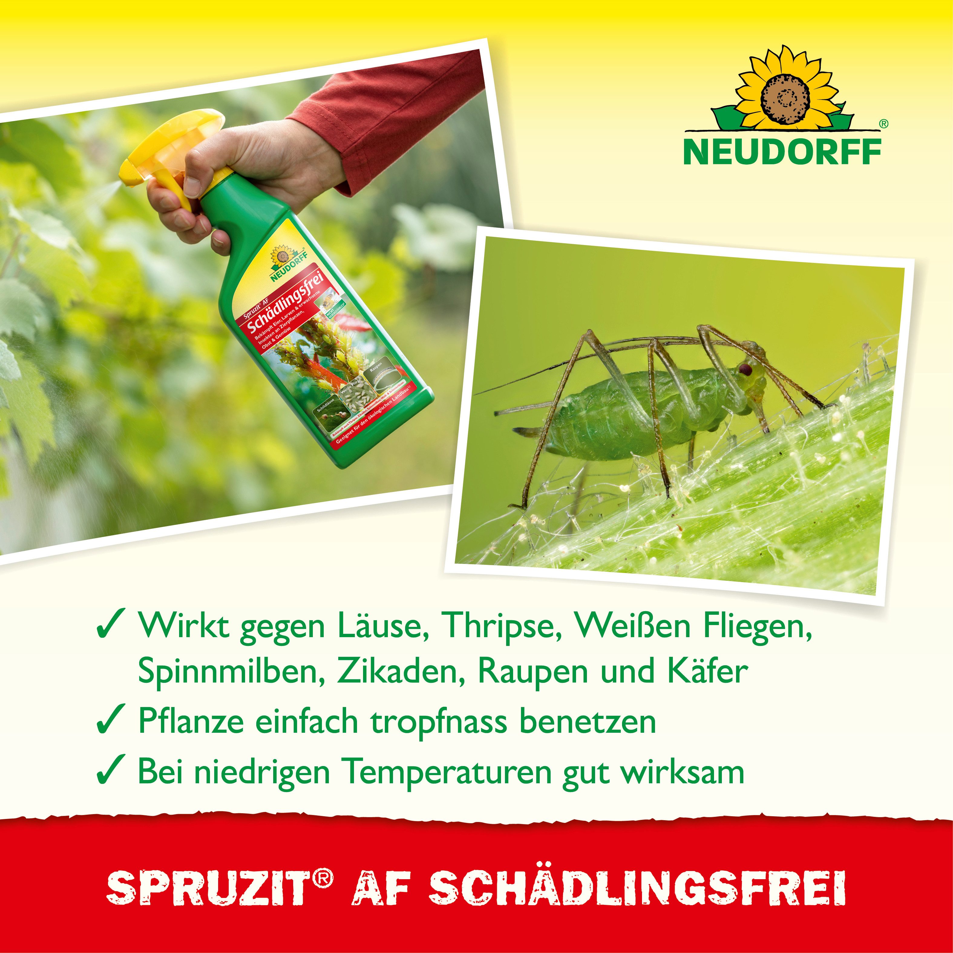 Neudorff Insektenspray Spruzit AF Schädlingsfrei 250 ml, 250 ml, Für Zierpflanzen, Obst & Gemüse in Haus und Garten, Anwendungsfertiges Spray gegen zahlreiche P – Bild 4 von 5