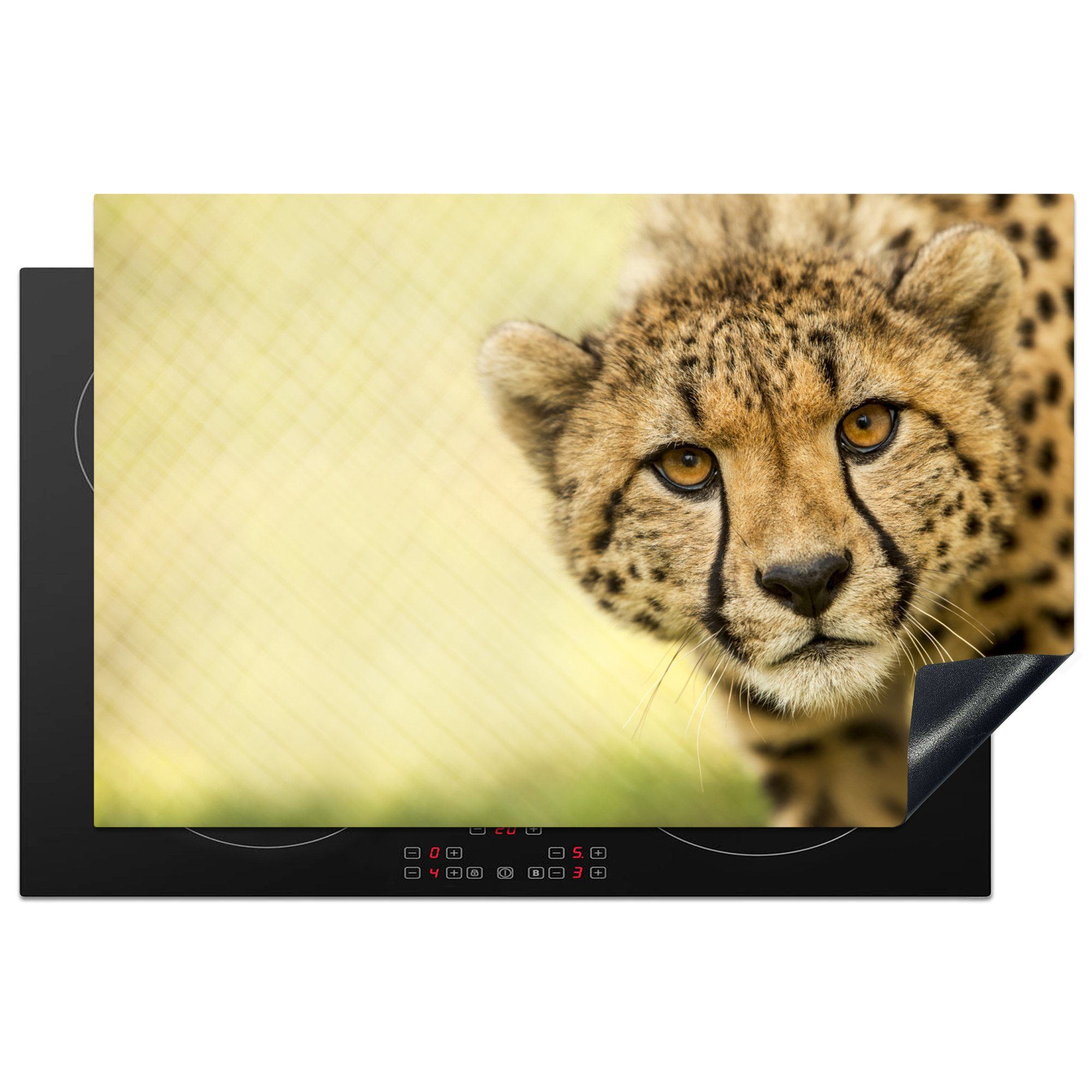 MuchoWow Herdblende-/Abdeckplatte Leopard - Gepard - Tier, Vinyl, (1 tlg), 81x52 cm, Induktionskochfeld Schutz für die küche, Ceranfeldabdeckung