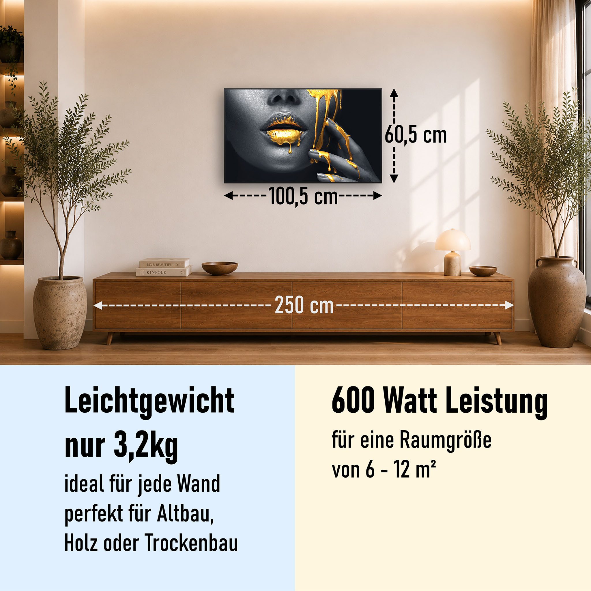 STEINFELD Heizsysteme Infrarotheizung Bild 600W, 100x60cm, Made in Germany, 7 Jahre Garantie, mit Thermostat, Schwarz