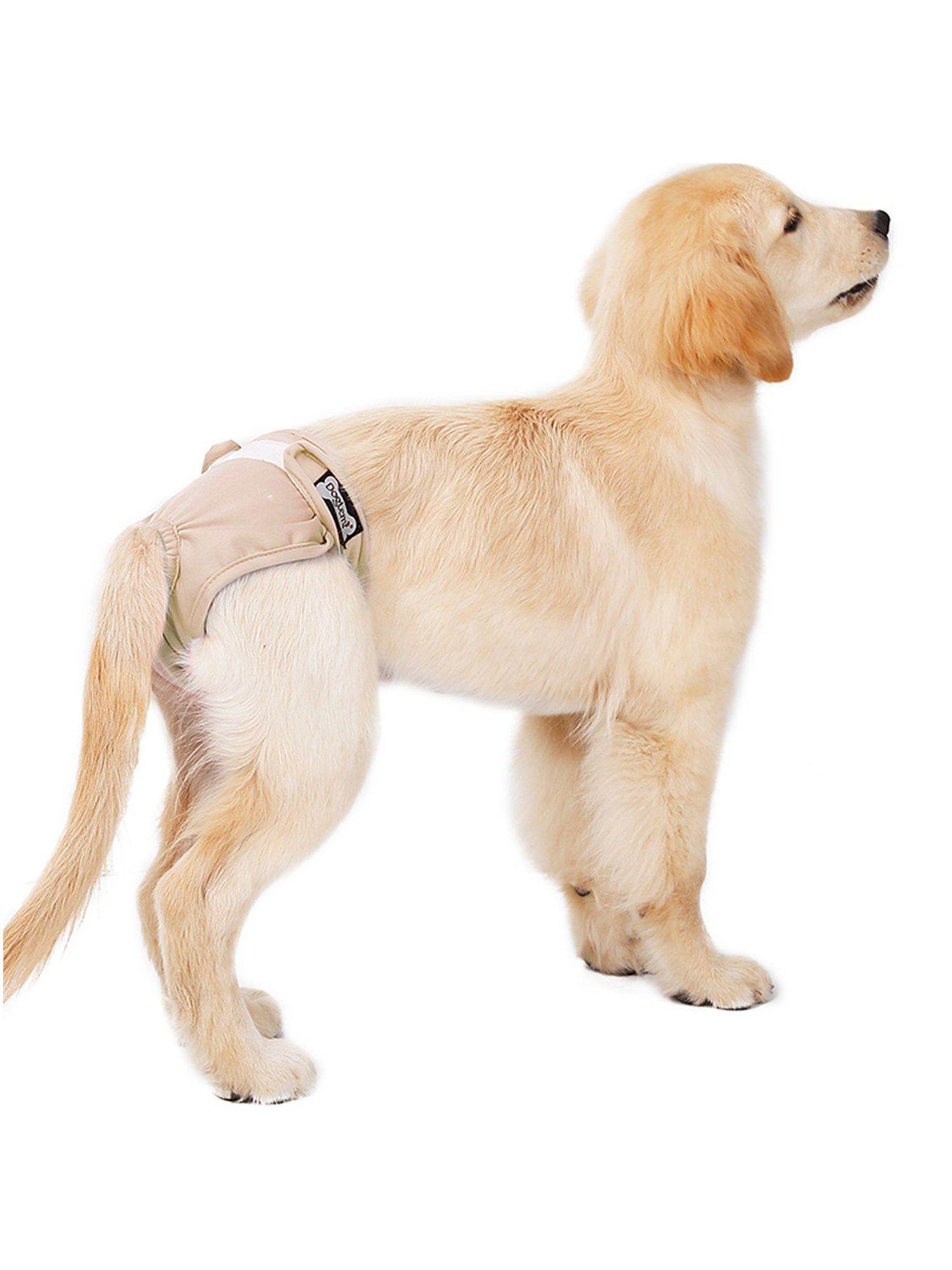 LAPA HOME Hundewindel Waschbare Inkontinenzwindeln Hundewindeln Hygieneunterhose für Hünd, Estrus Anti Belästigungs Höschen für Hündinnen, verstellbare Taille Beige