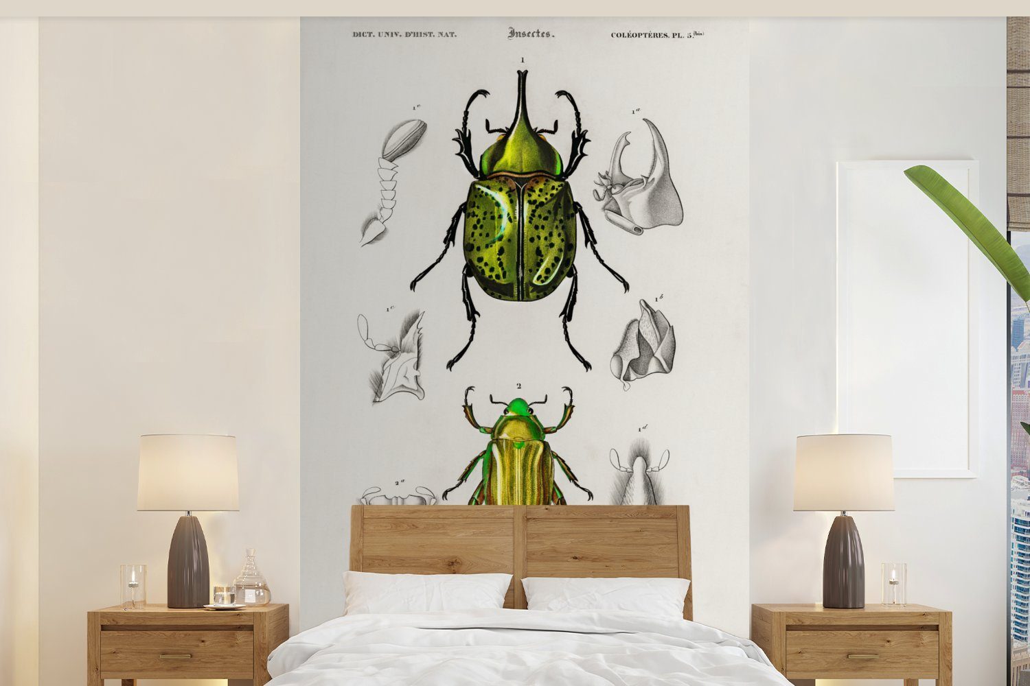 MuchoWow Fototapete »Käfer - Jahrgang - Insekten«, Matt, bedruckt, (3 St),  Wallpaper für Wohnzimmer, Schlafzimmer, Kinderzimmer, Vinyl Tapete