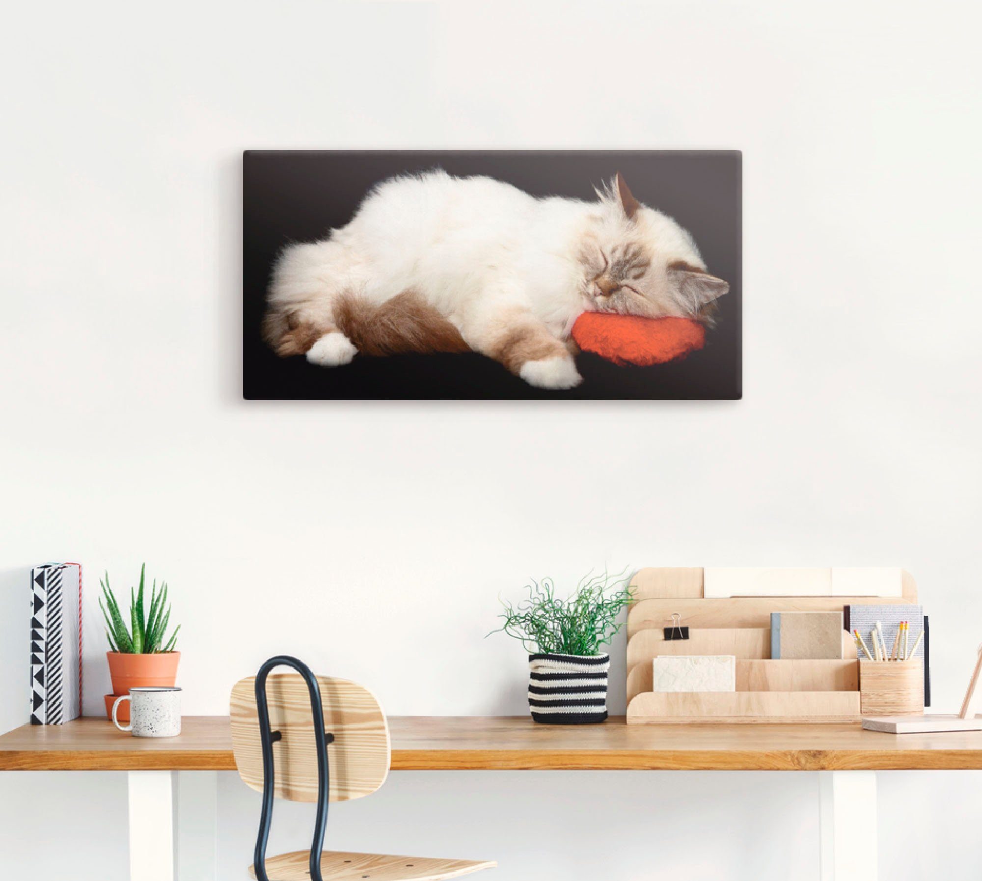 Artland Wandbild »Müde Katze«, Haustiere (1 Stück), in vielen Größen & Produktarten - Alubild / Outdoorbild für den Außenbereich, Leinwandbild, Poster, Wandaufkleber / Wandtattoo auch für Badezimmer geeignet-HomeTrends