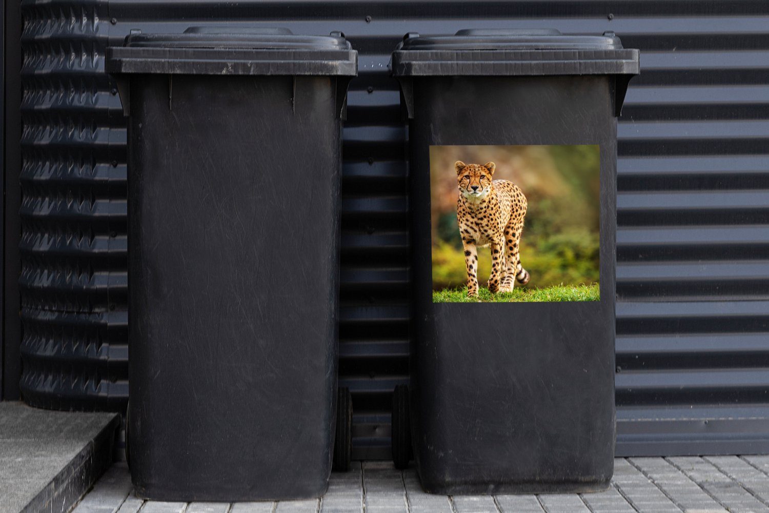 Leopard - Gras - Mülltonne, St), Container, (1 Wandsticker Natur MuchoWow Mülleimer-aufkleber, Wildtiere Sticker, - Abfalbehälter