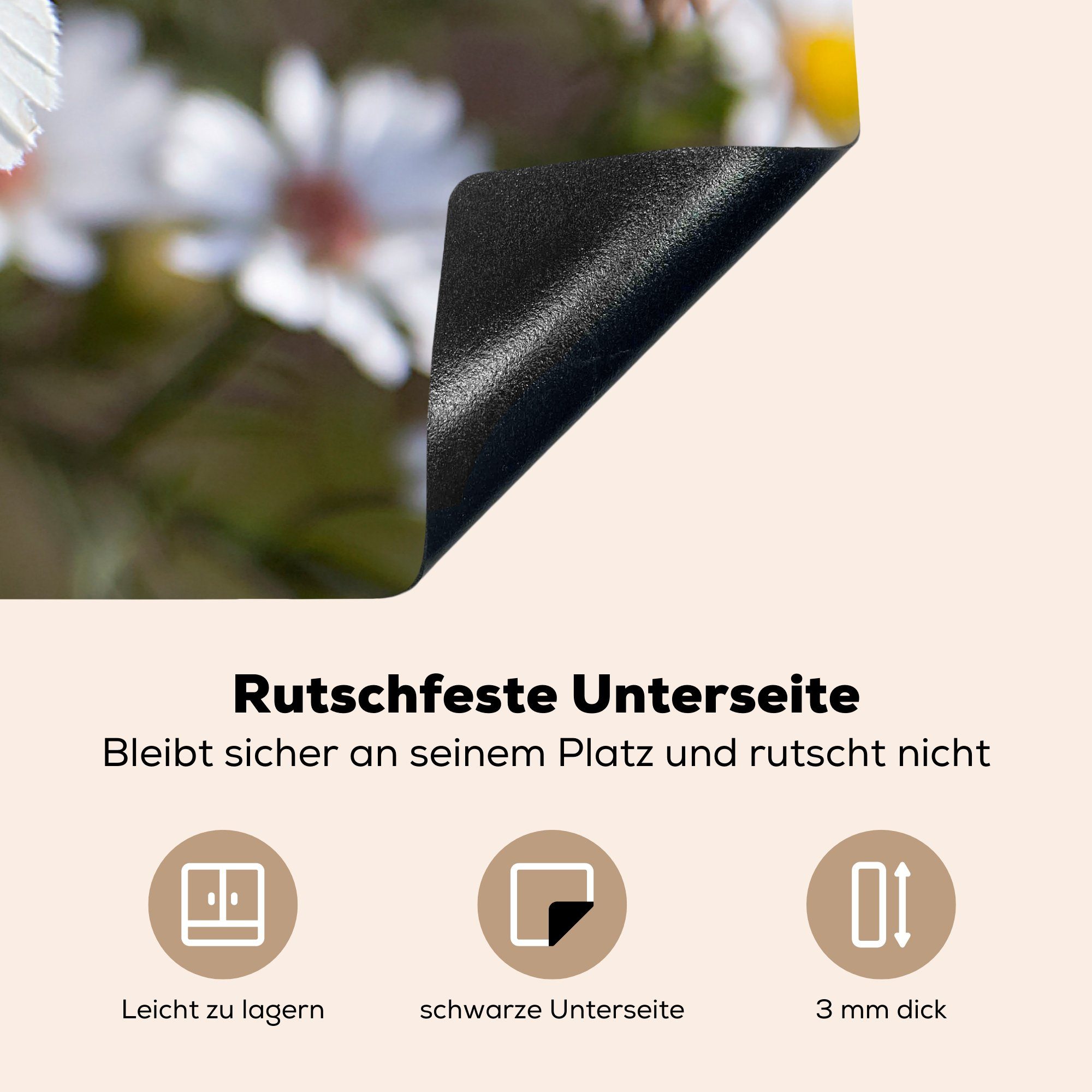 tlg), Induktionskochfeld Vinyl, Herdblende-/Abdeckplatte Gänseblümchen, Kohlweißling MuchoWow (1 küche, mit Ceranfeldabdeckung die cm, für 81x52 Schutz