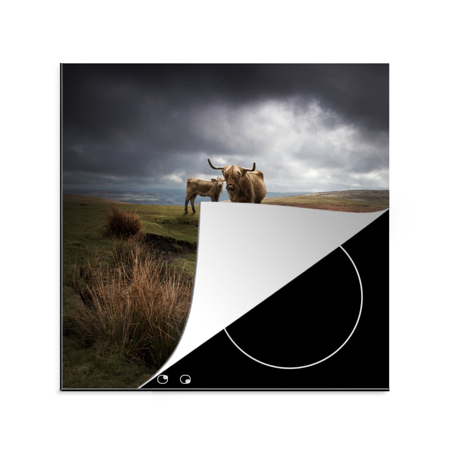 MuchoWow Herdblende-/Abdeckplatte Schottische Highlander - Heide - Wolken, Vinyl, (1 tlg), 78x78 cm, Ceranfeldabdeckung, Arbeitsplatte für küche