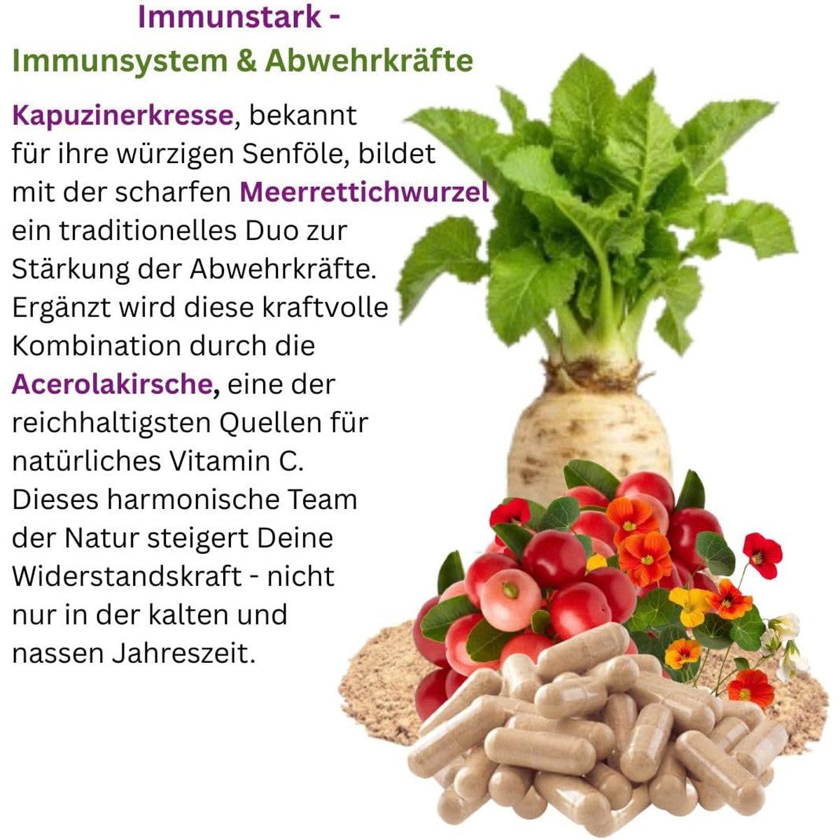 VitalLife Immunstark Kapuzinerkresse, Meerrettich, Acerola NATÜRLICHES Vitamin C Kapseln, 1 er Dose à 120 St., 55,2 g, Art. 26665-120