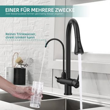 HOMELODY Küchenarmatur 3 Wege Wasserhahn Küche Trinkwasserhahn mit Ausziehbarer Brause 360°-Drehbar 3-in-1 Spültischarmatur Schwarz 2 Griffe