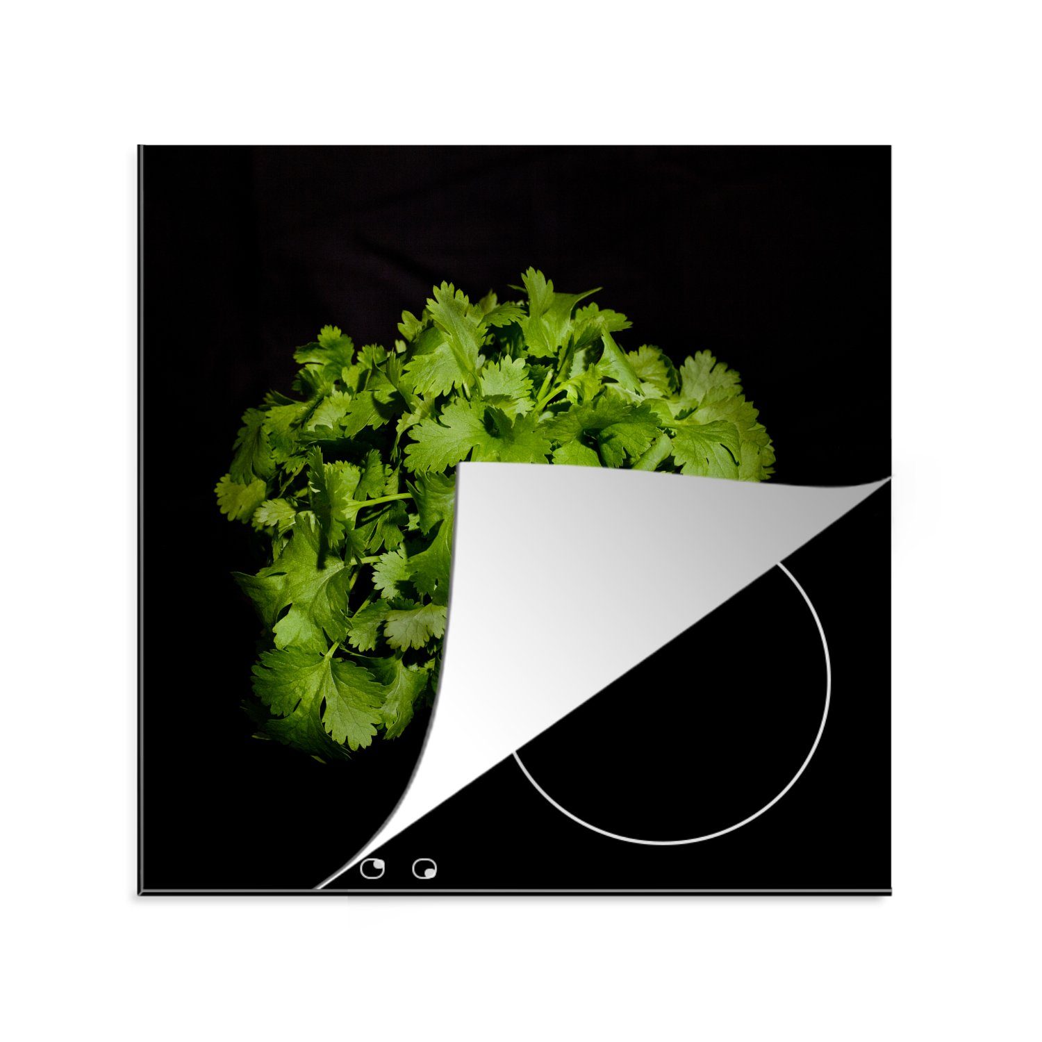 MuchoWow Herdblende-/Abdeckplatte Koriander und seine leuchtend grüne Farbe vor einem schwarzen, Vinyl, (1 tlg), 78x78 cm, Ceranfeldabdeckung, Arbeitsplatte für küche