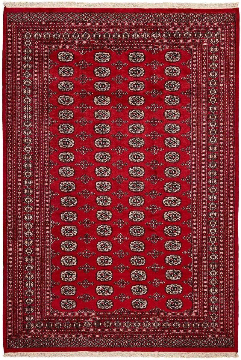 Orientteppich Pakistan Buchara 2ply 207x300 Handgeknüpfter Orientteppich, Nain Trading, rechteckig, Höhe: 8 mm