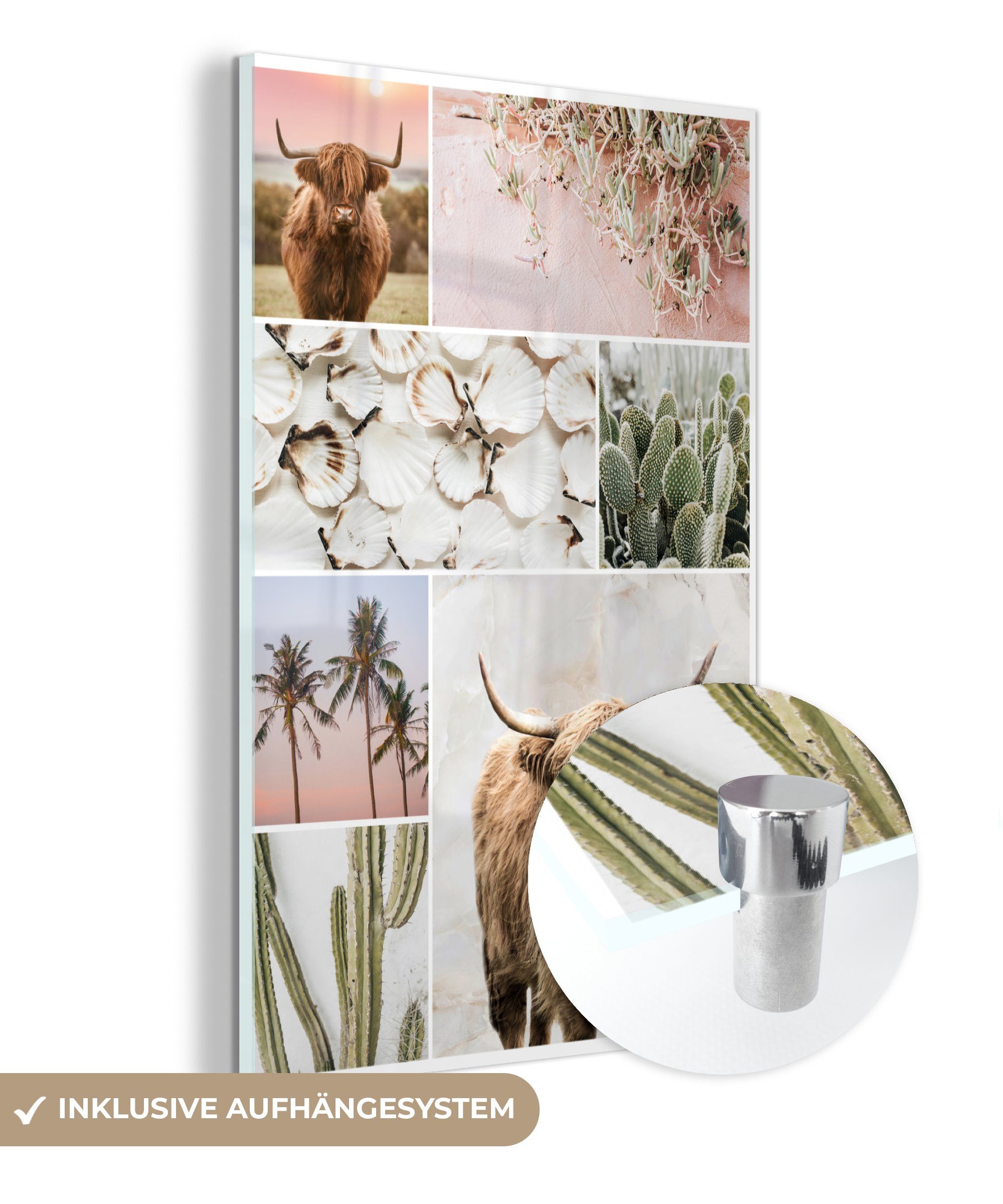 MuchoWow Acrylglasbild Schottische Highlander - Collage - Pflanzen, (1 St), Glasbilder - Bilder auf Glas Wandbild - Foto auf Glas - Wanddekoration
