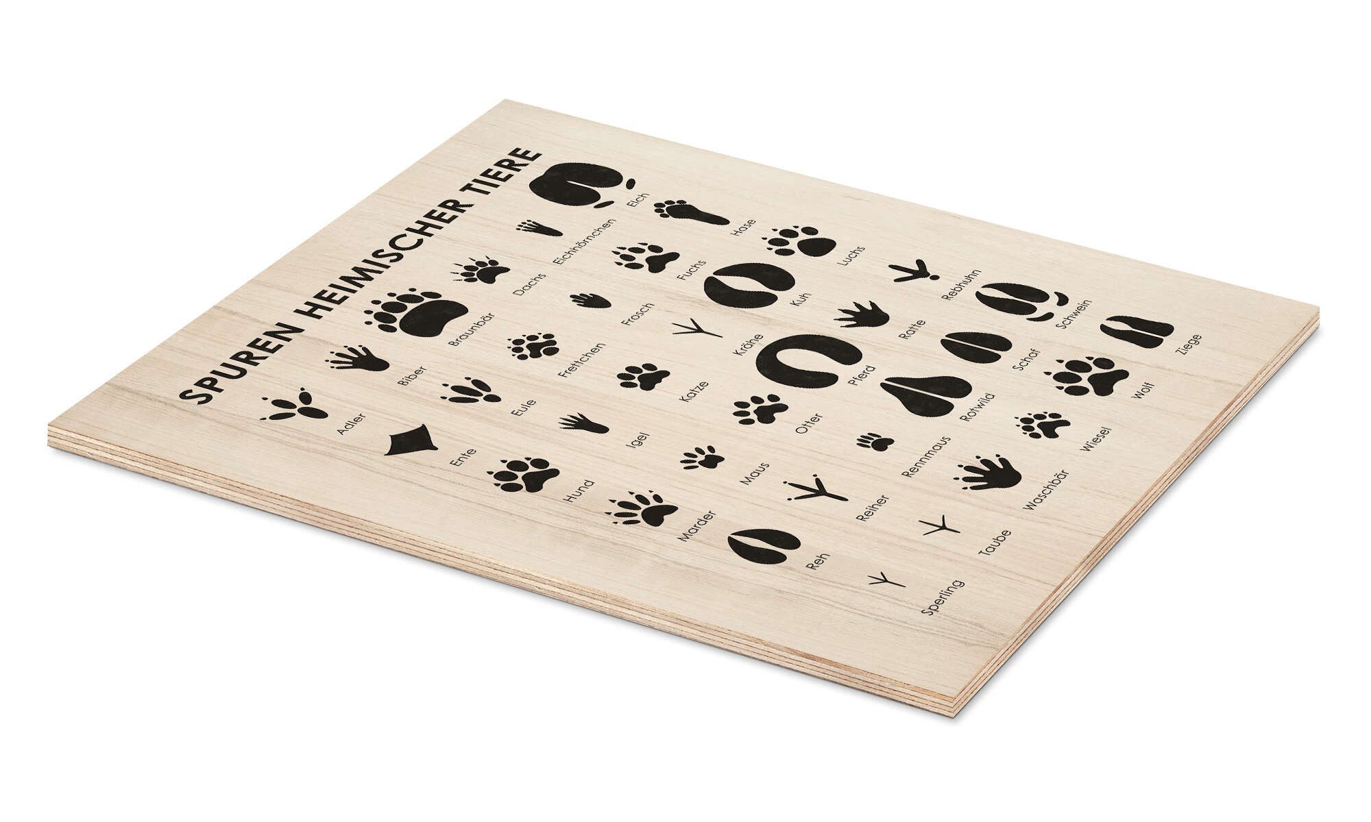 Posterlounge Wandbild Spuren heimischer Tiere I, Iris Luckhaus, erhältlich günstig online kaufen