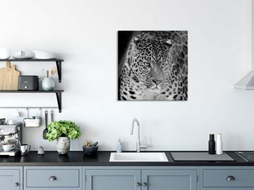 Pixxprint Glasbild Prächtiger Leopard, Prächtiger Leopard (1 St), Glasbild aus Echtglas, inkl. Aufhängungen und Abstandshalter