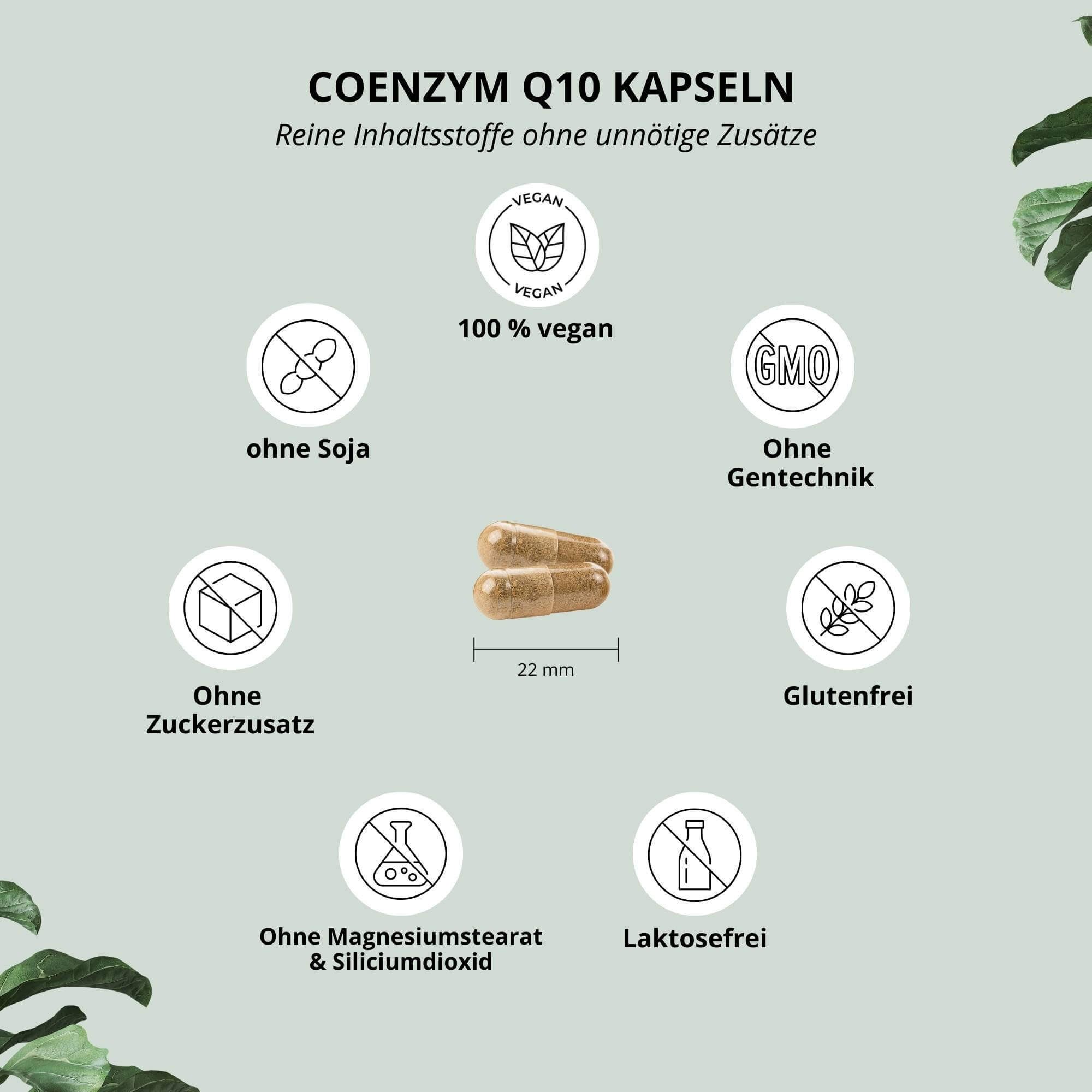 nutri+ Coenzym Q10 Kapseln 100 mg Ubichinon Kapseln