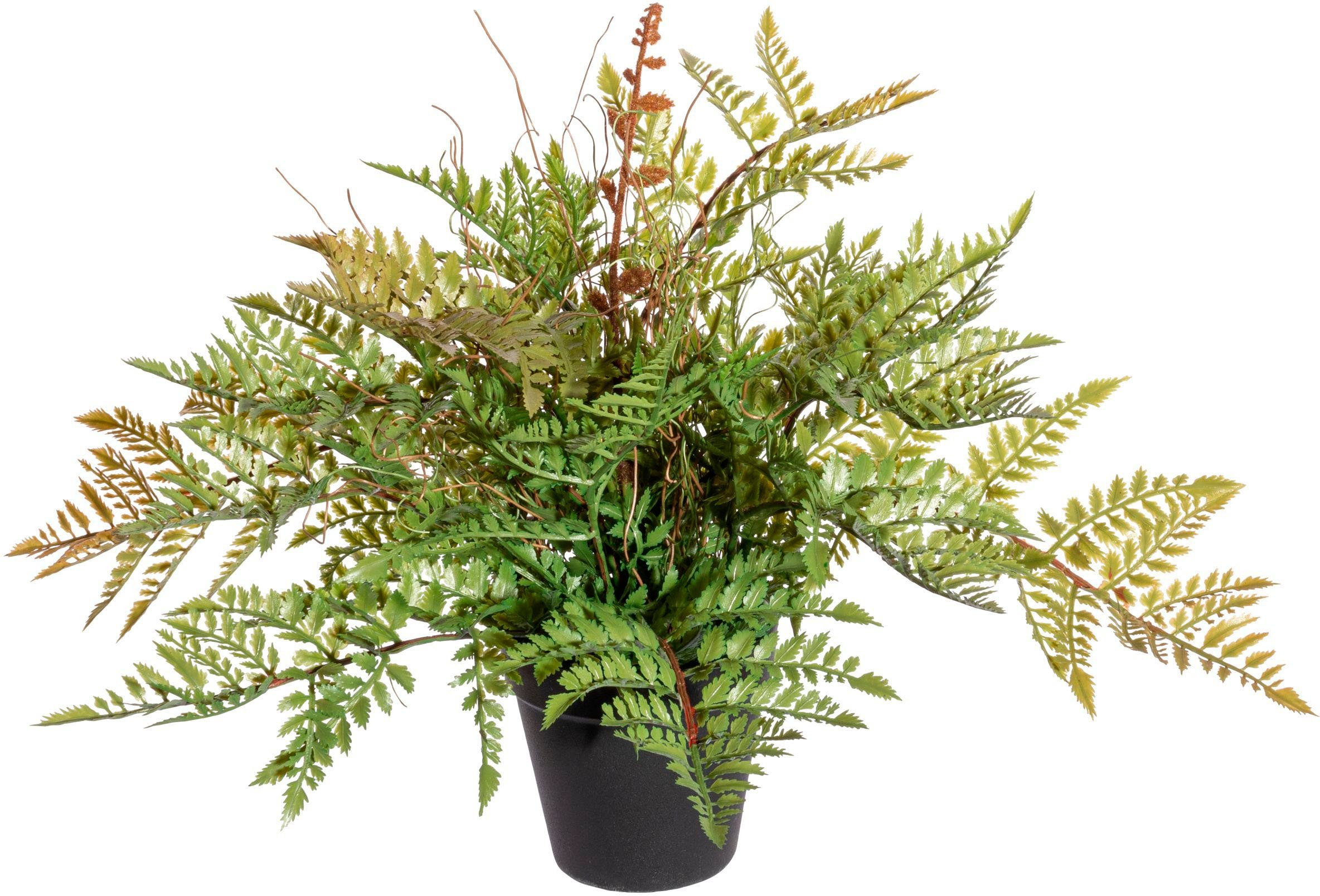 cm Zimmerpflanze Creativ Farnbusch Höhe green, Farn, Künstliche 40