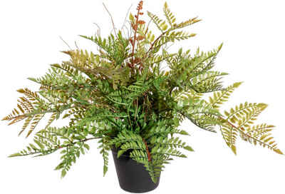 Künstliche Zimmerpflanze Farnbusch Farn, Creativ green, Höhe 40 cm