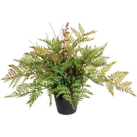 Künstliche Zimmerpflanze Farnbusch Farn, Creativ green, Höhe 40 cm