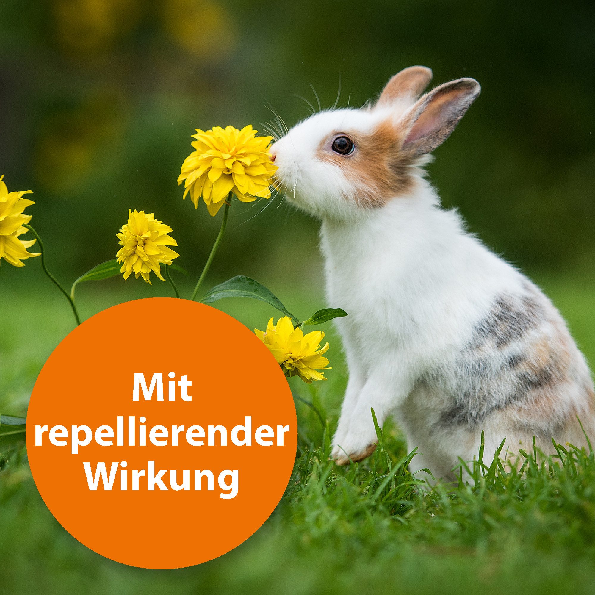 Ardap Insektenspray Ardap Spot-On für Kleintiere 1-4 kg 3 x 0.4 ml