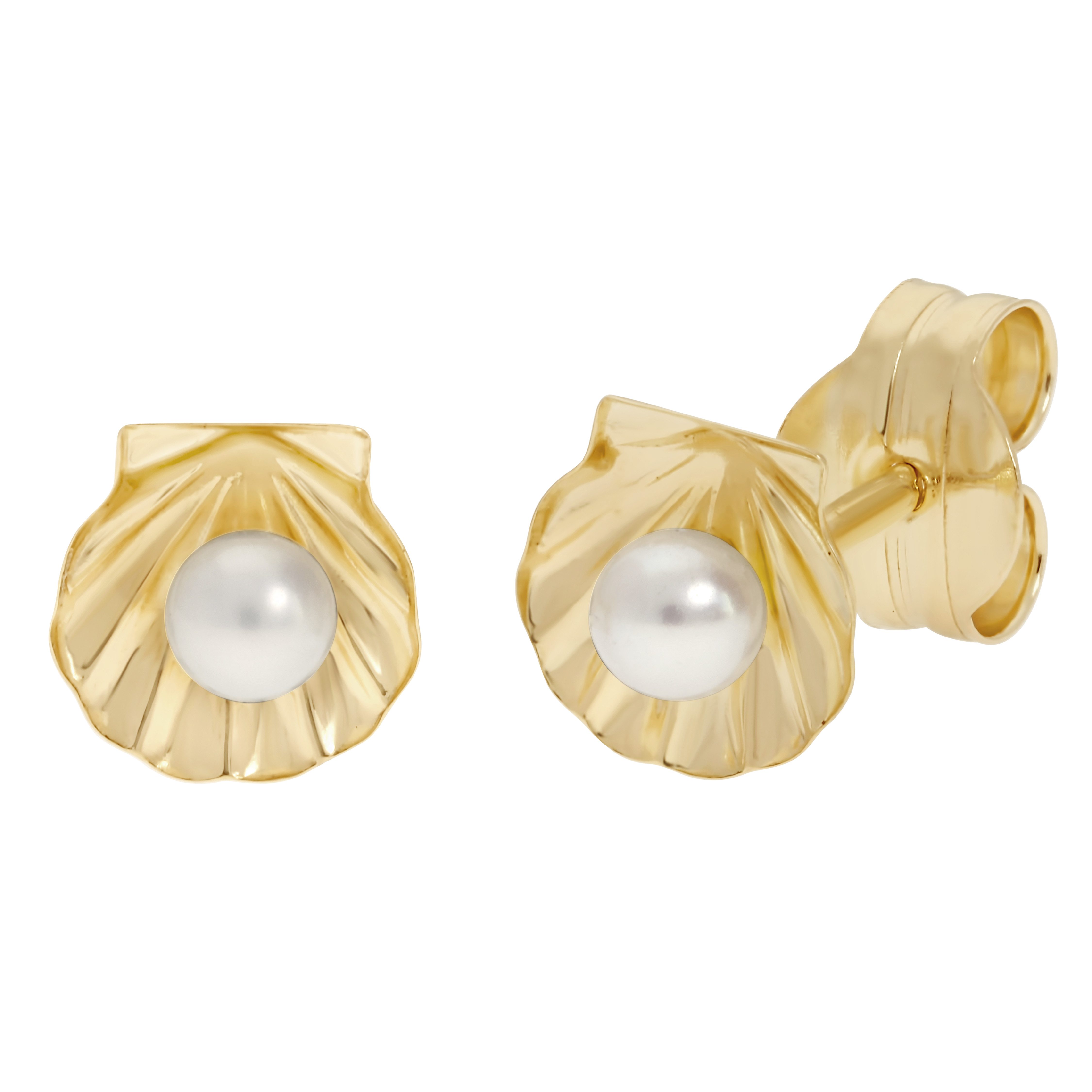 Paar Ohrstecker Schmuck Geschenk Gold 375 Ohrschmuck Ohrringe Muschel