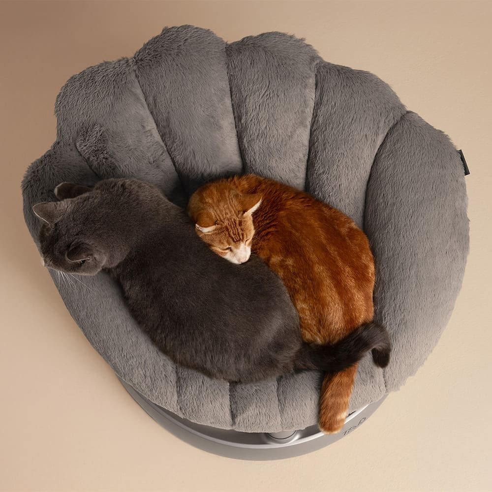 Tavo Tierbett Shell - Haustierbett