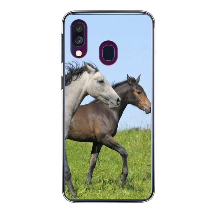 MuchoWow Handyhülle Pferde - Tiere - Gras Handyhülle Samsung Galaxy A40 Smartphone-Bumper Print Handy
