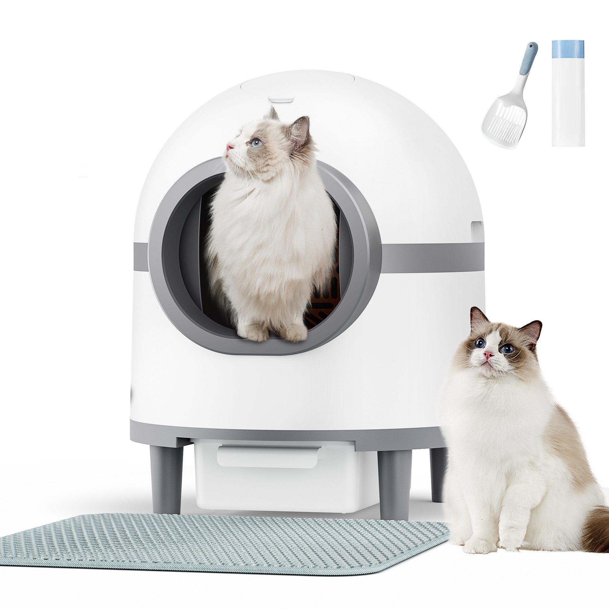 Katzentoilette
