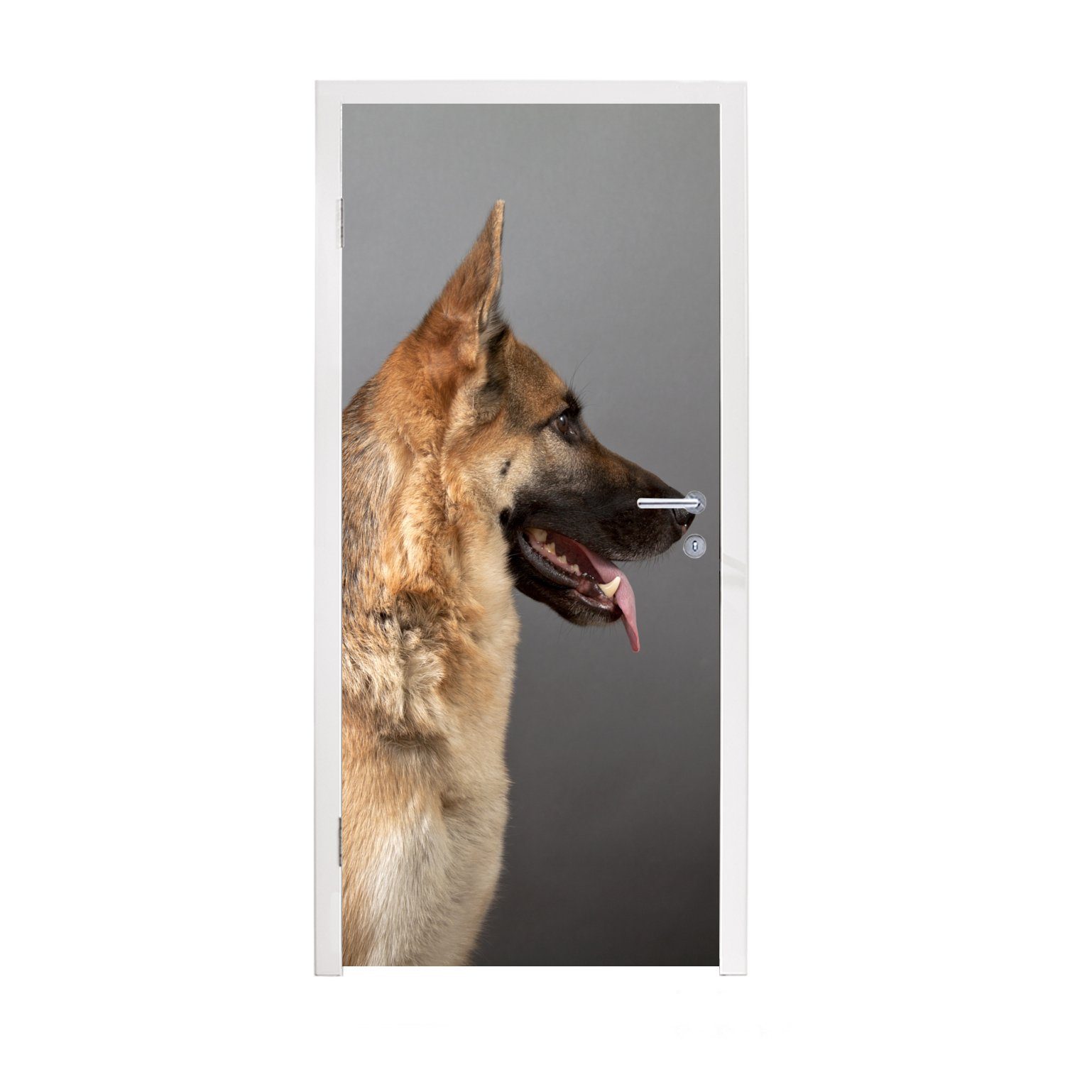 MuchoWow Türtapete Seitenansicht eines Deutschen Schäferhundes, Matt, bedruckt, (1 St), Fototapete für Tür, Türaufkleber, 75x205 cm