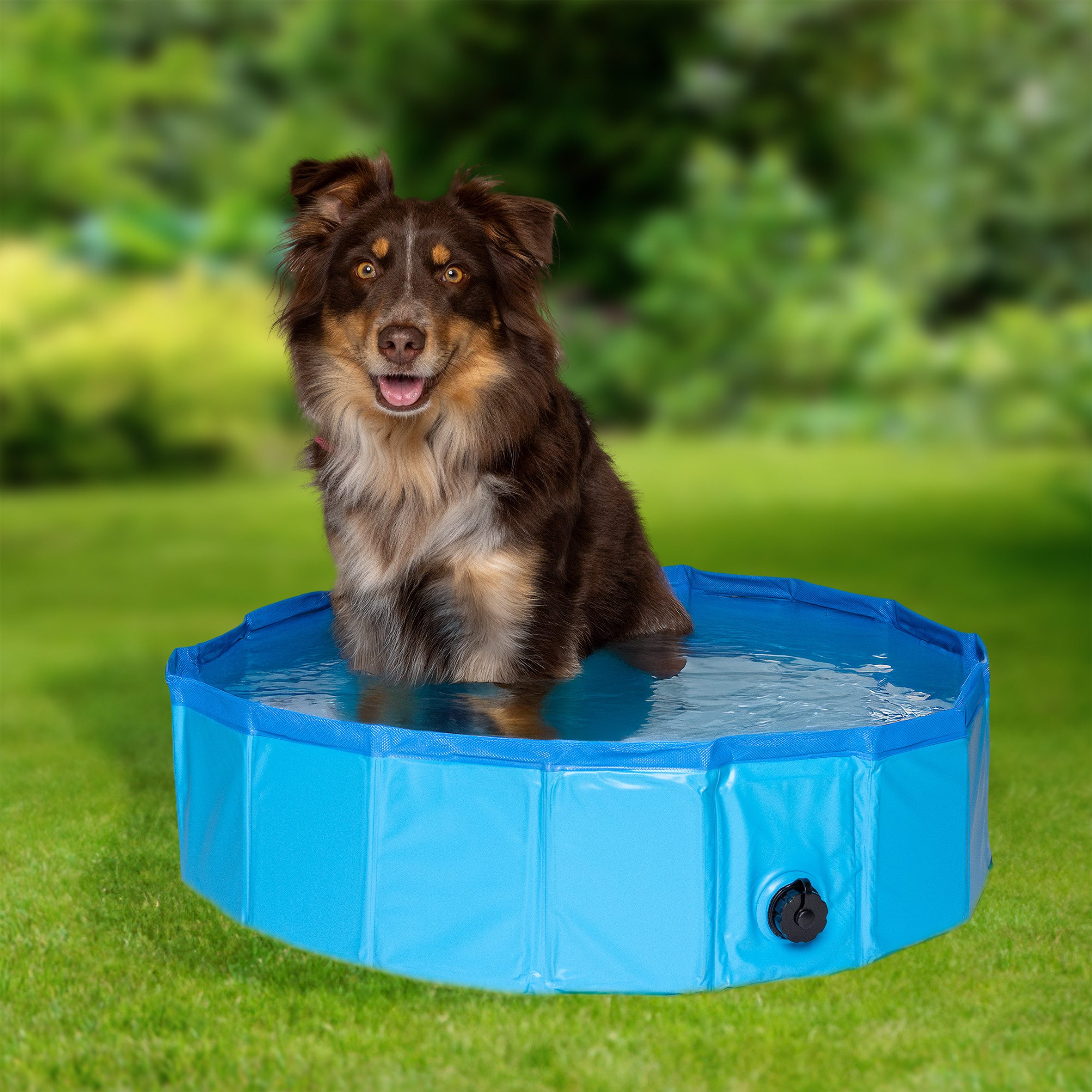 steinwohn Hundepool Ø 80cm faltbare Hundebadewanne, PVC Planschbecken für Hunde, Fassungsvermögen 100 Liter, Rautenstruktur am Boden