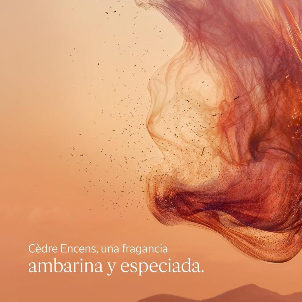 L'OCCITANE Körperpflegemittel CDRE ENCENS Deostick 75 gr