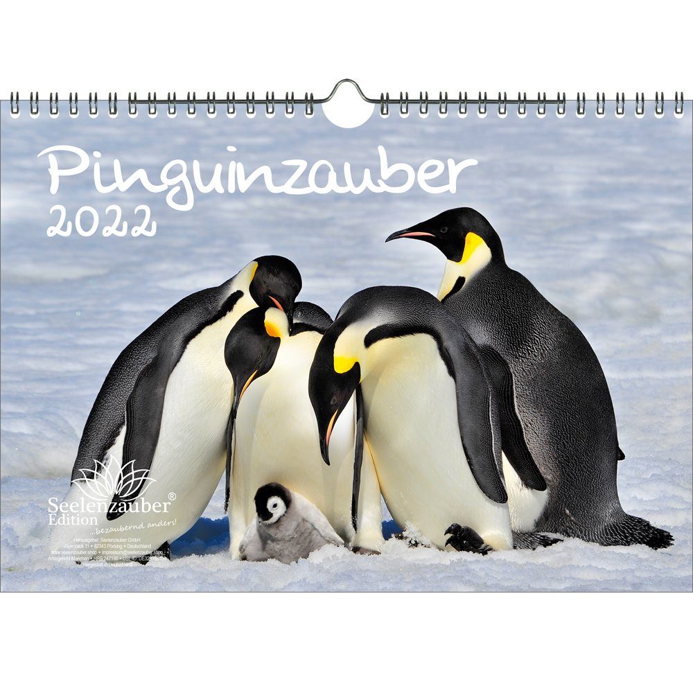 Seelenzauber Tierkalender Pinguinzauber DIN A4 Kalender für 2022 Pinguin