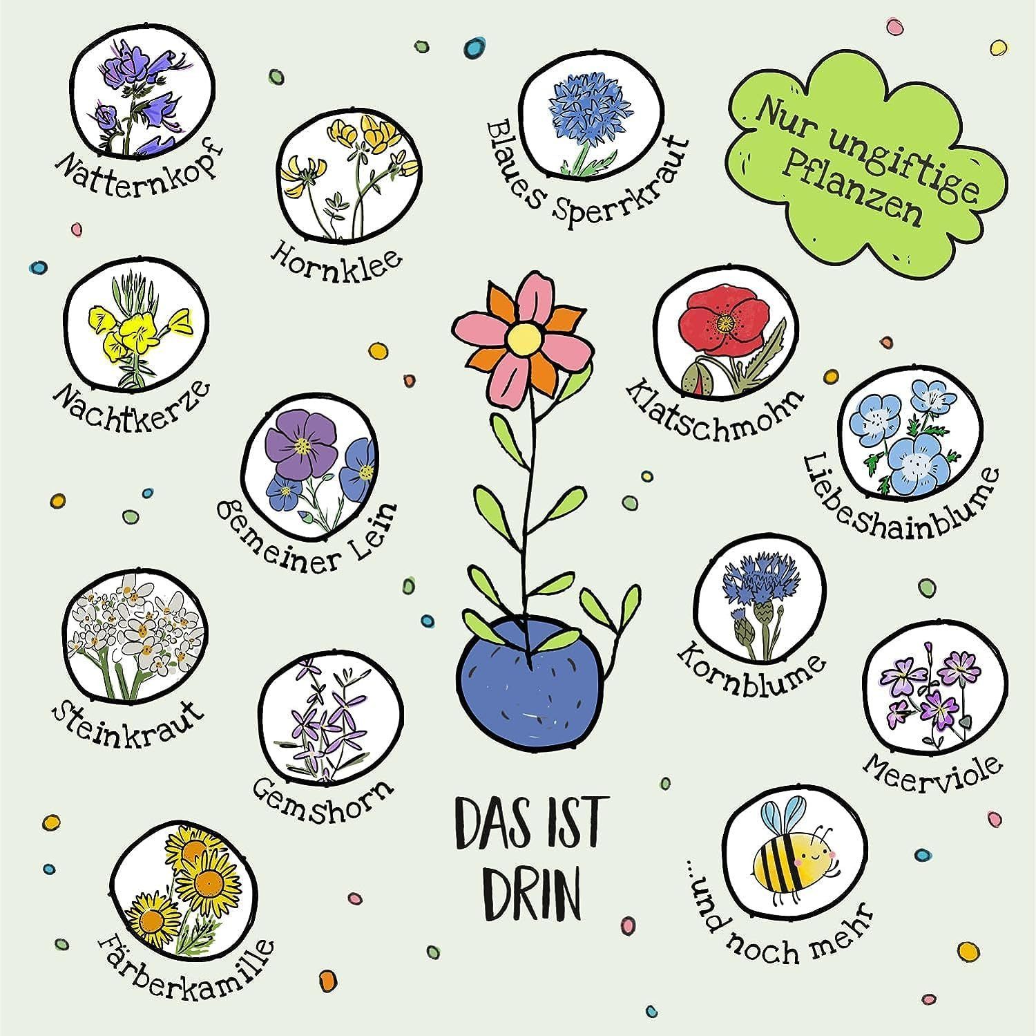 Die Stadtgärtner Lernspielzeug 10 x Blumenmurmeln, Geburtstag-Mitgebsel für verschiedene Anlässe, Nachhaltig