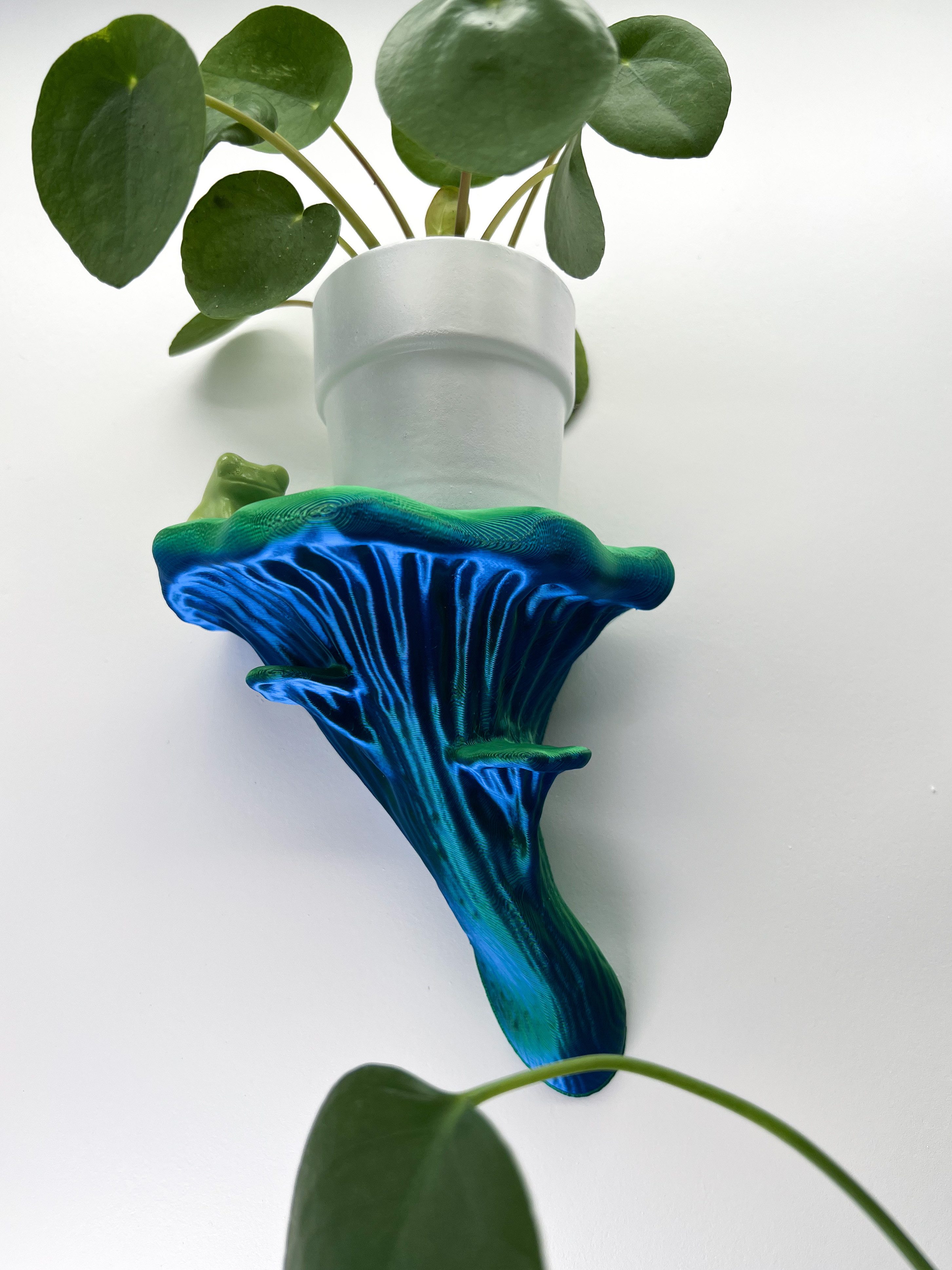 Roomberry Deko-Wandregal Schwebendes Austernpilz Wandregal, Deko Wandregal Pilz, M/L/XL, Hergestellt in Deutschland in unserer eigenen Manufaktur