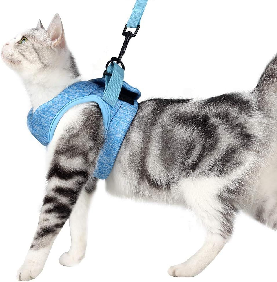 FELIXLEO Katzen-Futterautomat Ausbruchsicheres Katzengeschirr Set mit Leine fuer Katzen Blau M
