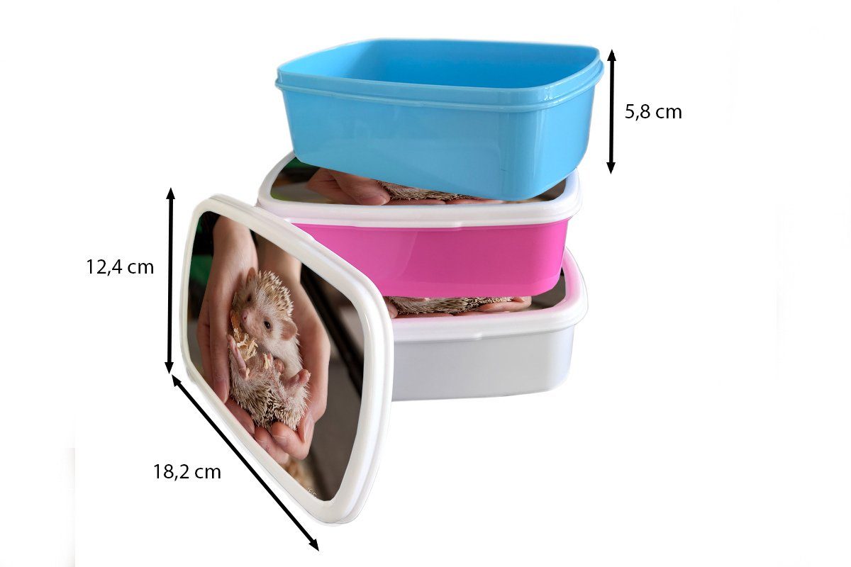 Brotbox und Jungs für weiß für Kunststoff, Mädchen Erwachsene, MuchoWow Kinder in den und Brotdose, (2-tlg), Igel Kleiner Händen, Lunchbox